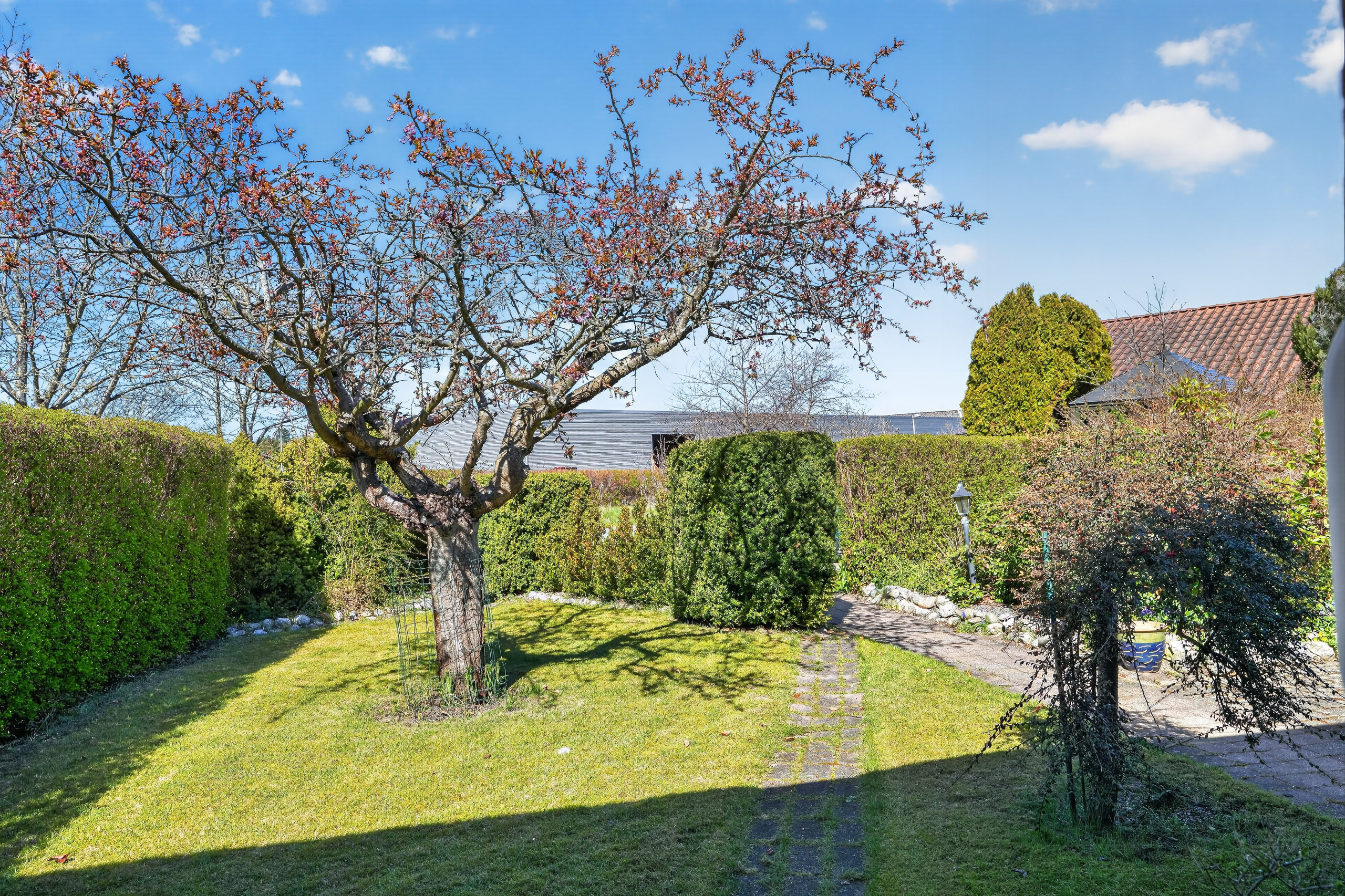 Fremhævet have billede i fuldskærmstilstand. Billede af Enøvej 47A, 4500 Nykøbing Sj