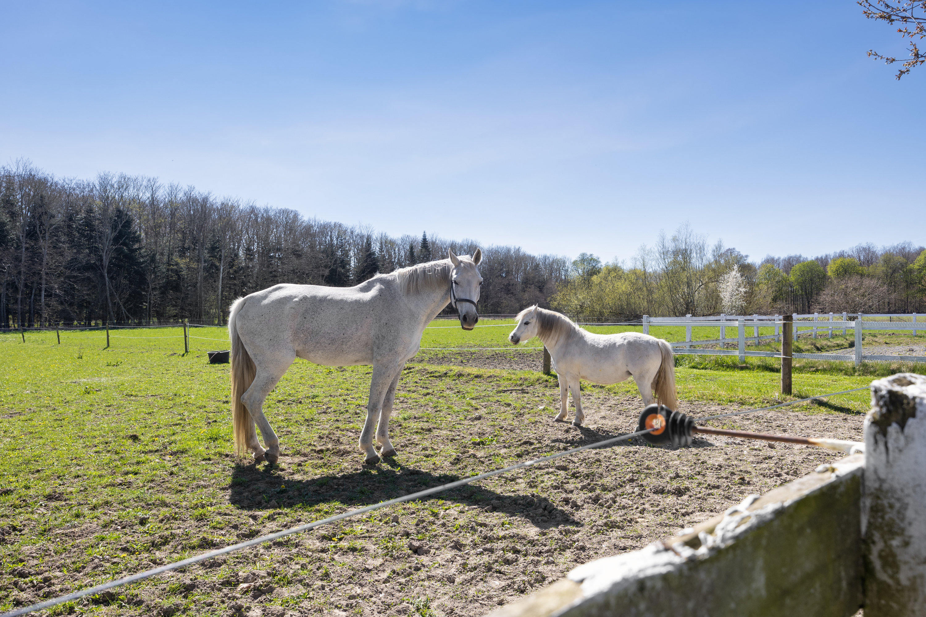 Fremhævet andet billede i fuldskærmstilstand. Billede af Overdrevsvejen 114, Lellinge, 4600 Køge
