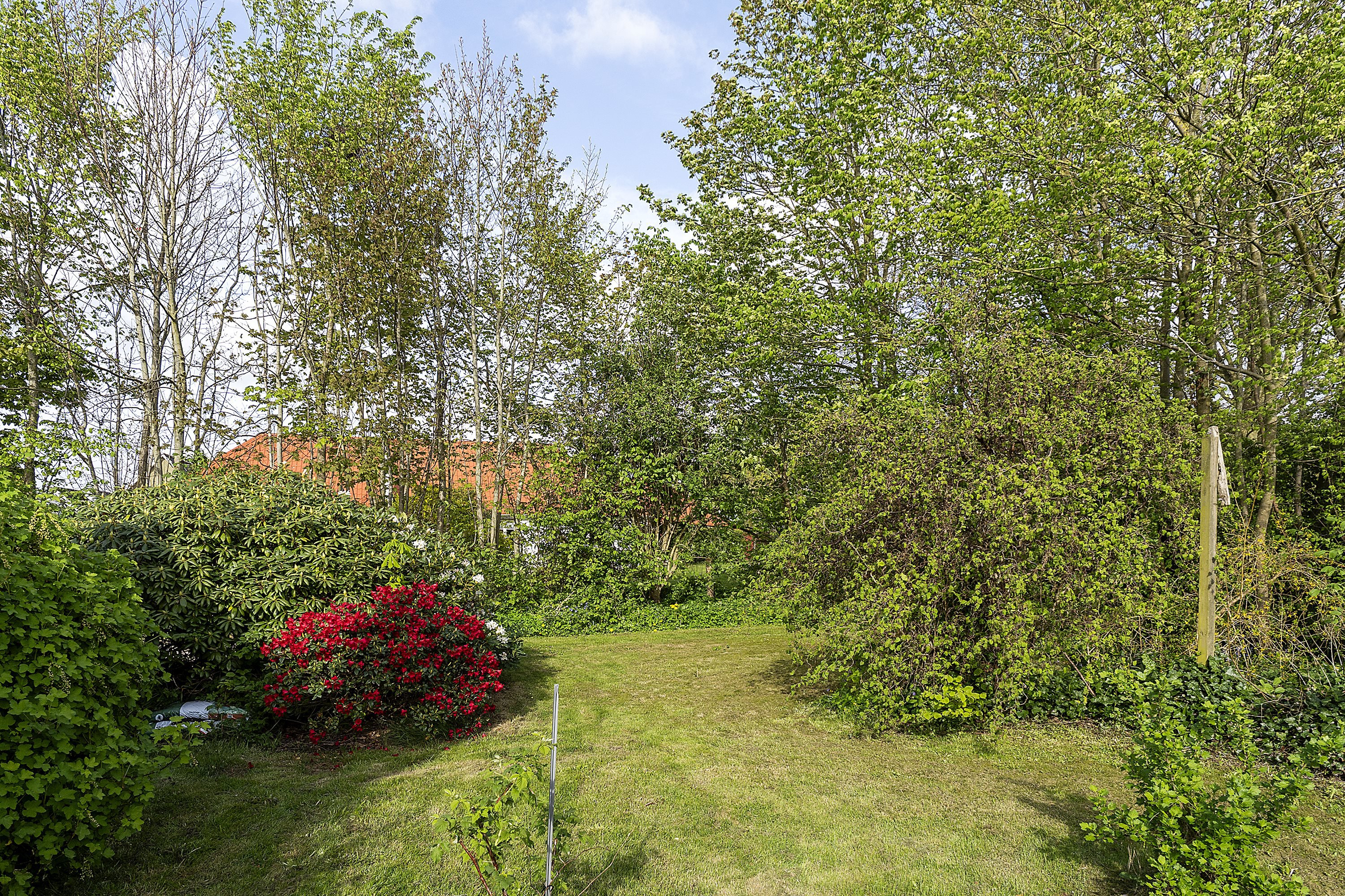 Fremhævet  billede i fuldskærmstilstand. Billede af Aalborgvej 20, Hornum, 9600 Aars