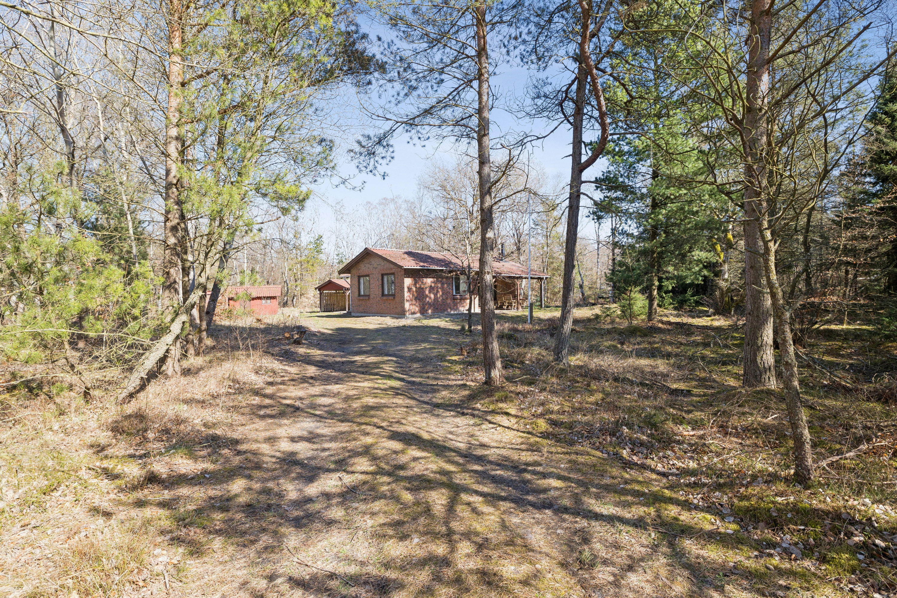 Fremhævet  billede i fuldskærmstilstand. Billede af Odde Naturpark 37, Helberskov, 9560 Hadsund