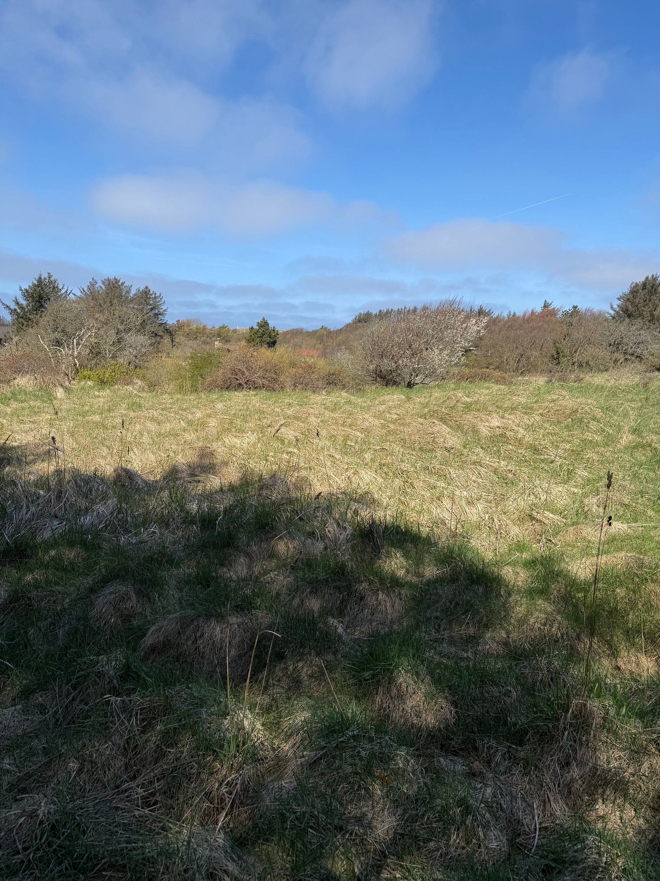 Fremhævet grund billede i fuldskærmstilstand. Billede af Kragevej 4, Tornby, 9850 Hirtshals