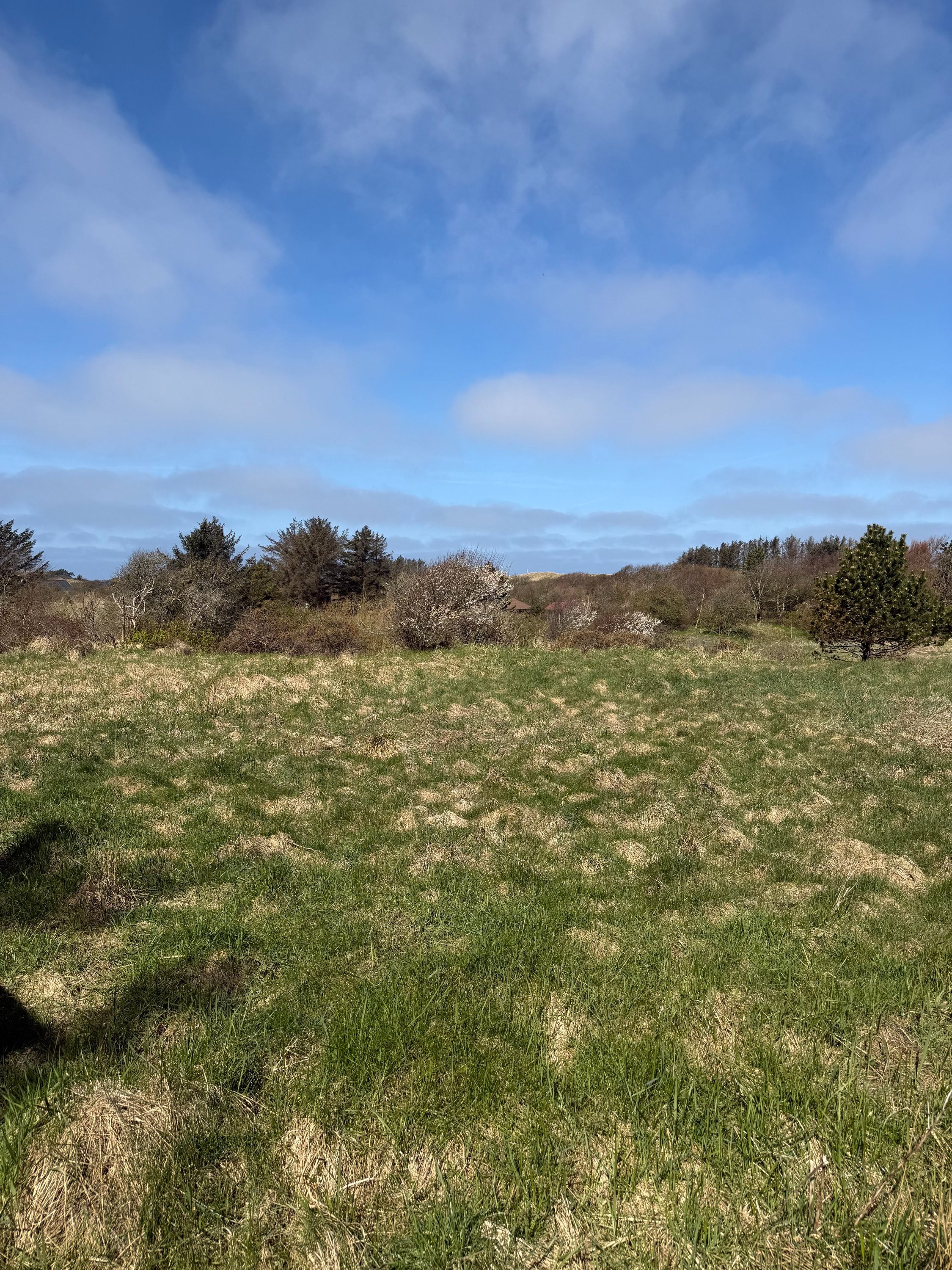 Fremhævet grund billede i fuldskærmstilstand. Billede af Kragevej 4, Tornby, 9850 Hirtshals