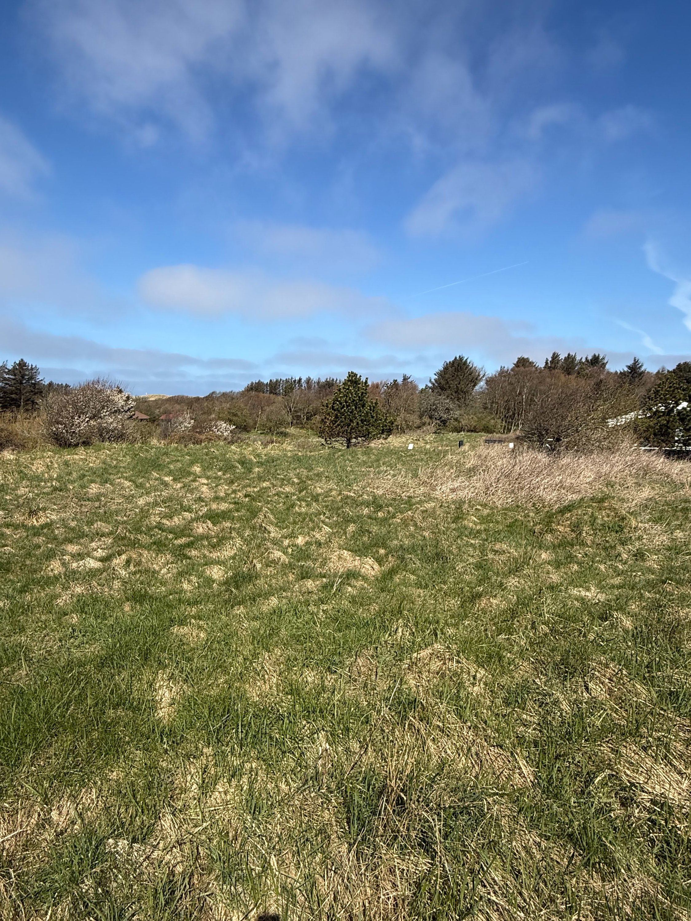 Fremhævet grund billede i fuldskærmstilstand. Billede af Kragevej 4, Tornby, 9850 Hirtshals