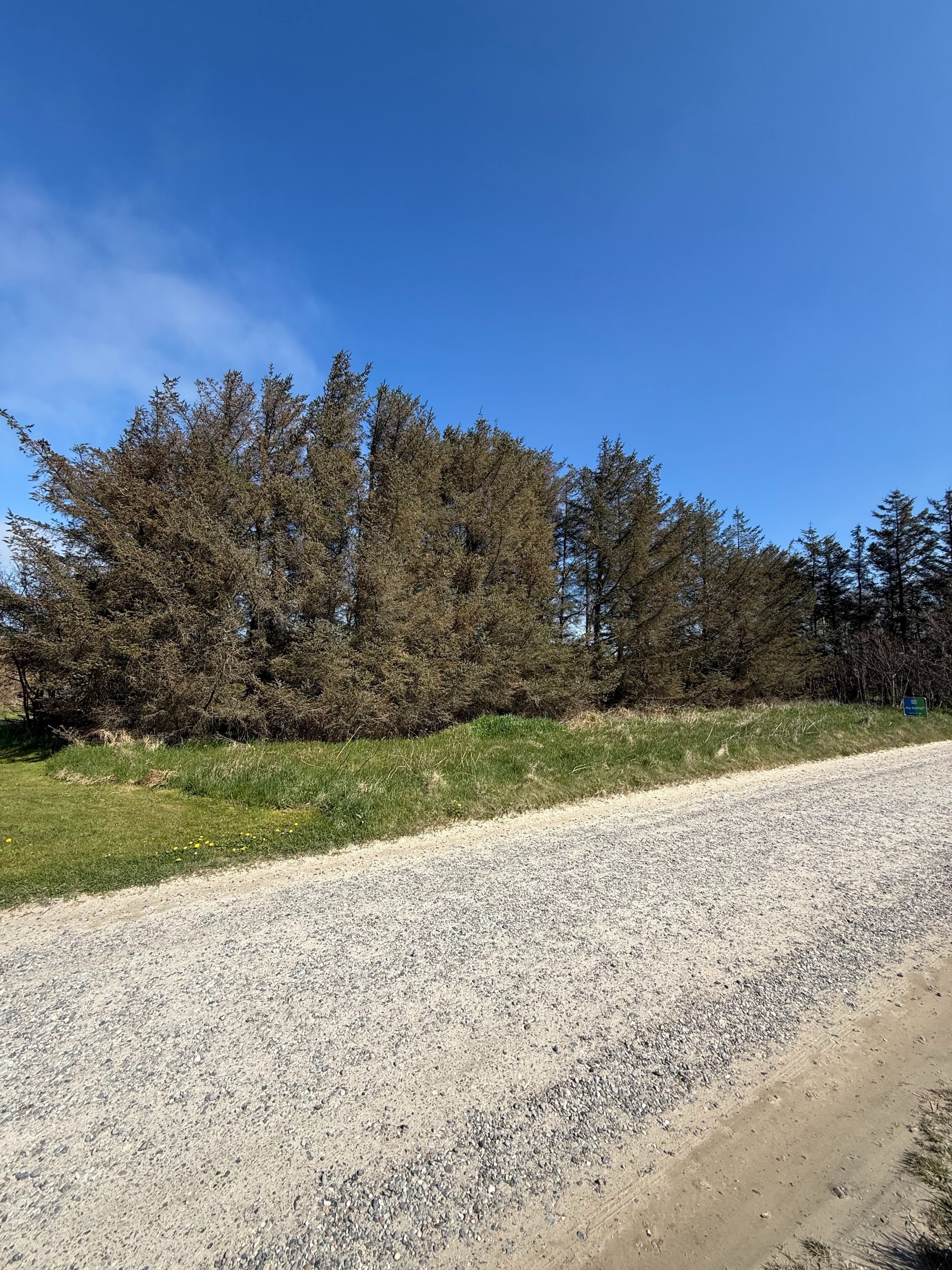 Fremhævet grund billede i fuldskærmstilstand. Billede af Kragevej 4, Tornby, 9850 Hirtshals