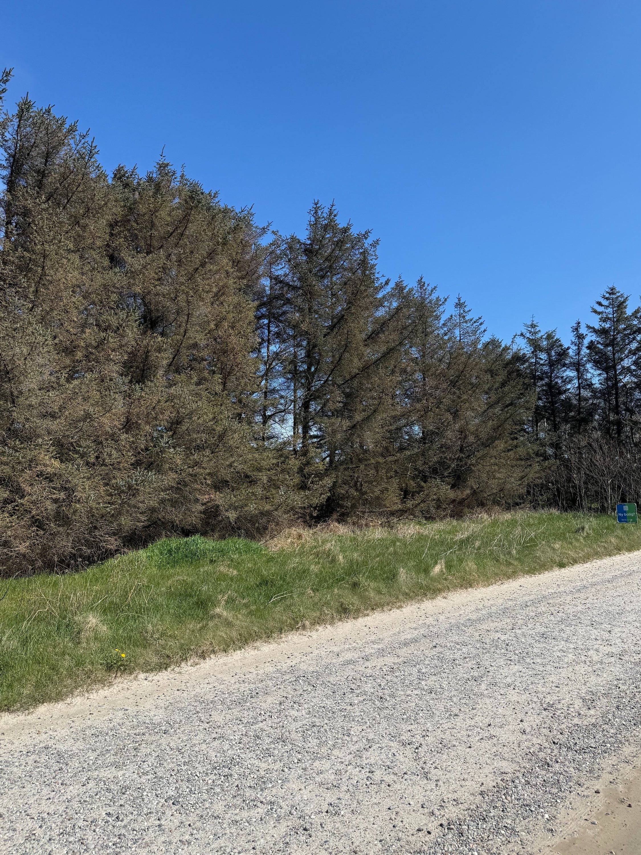 Fremhævet grund billede i fuldskærmstilstand. Billede af Kragevej 4, Tornby, 9850 Hirtshals