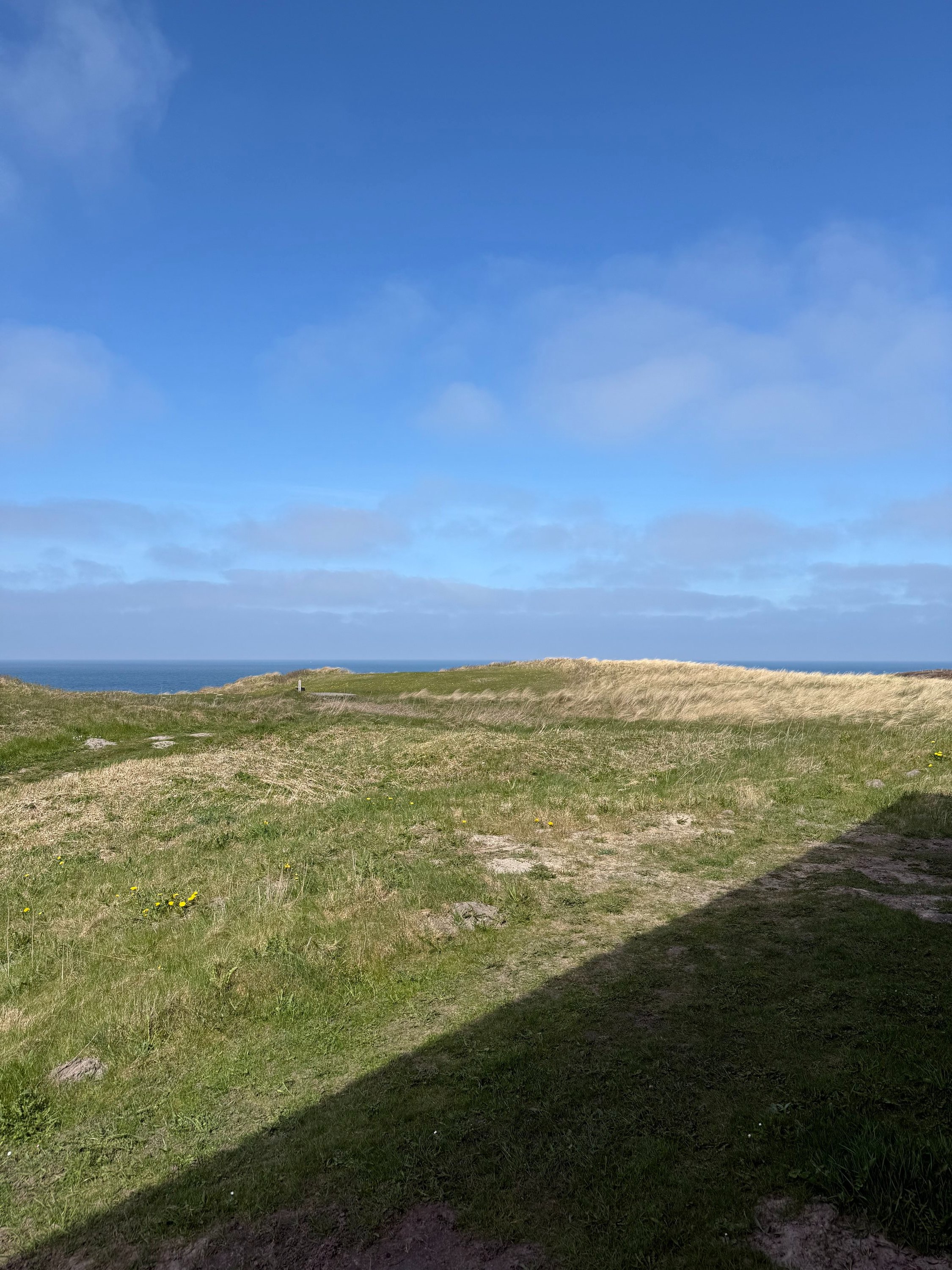 Fremhævet  billede i fuldskærmstilstand. Billede af Kystvejen 10E, st.. 102., 9850 Hirtshals