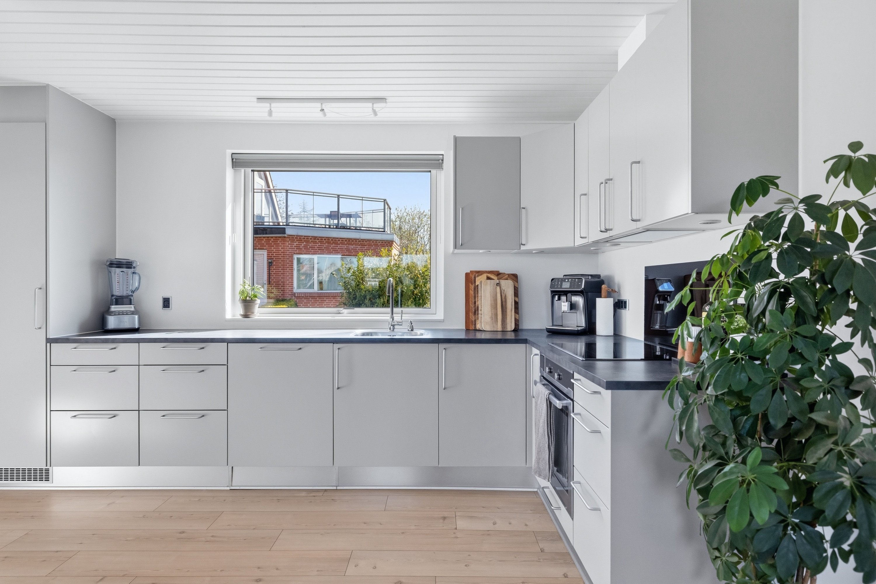 Fremhævet  billede i fuldskærmstilstand. Billede af Tåstrupvej 135, 8462 Harlev J