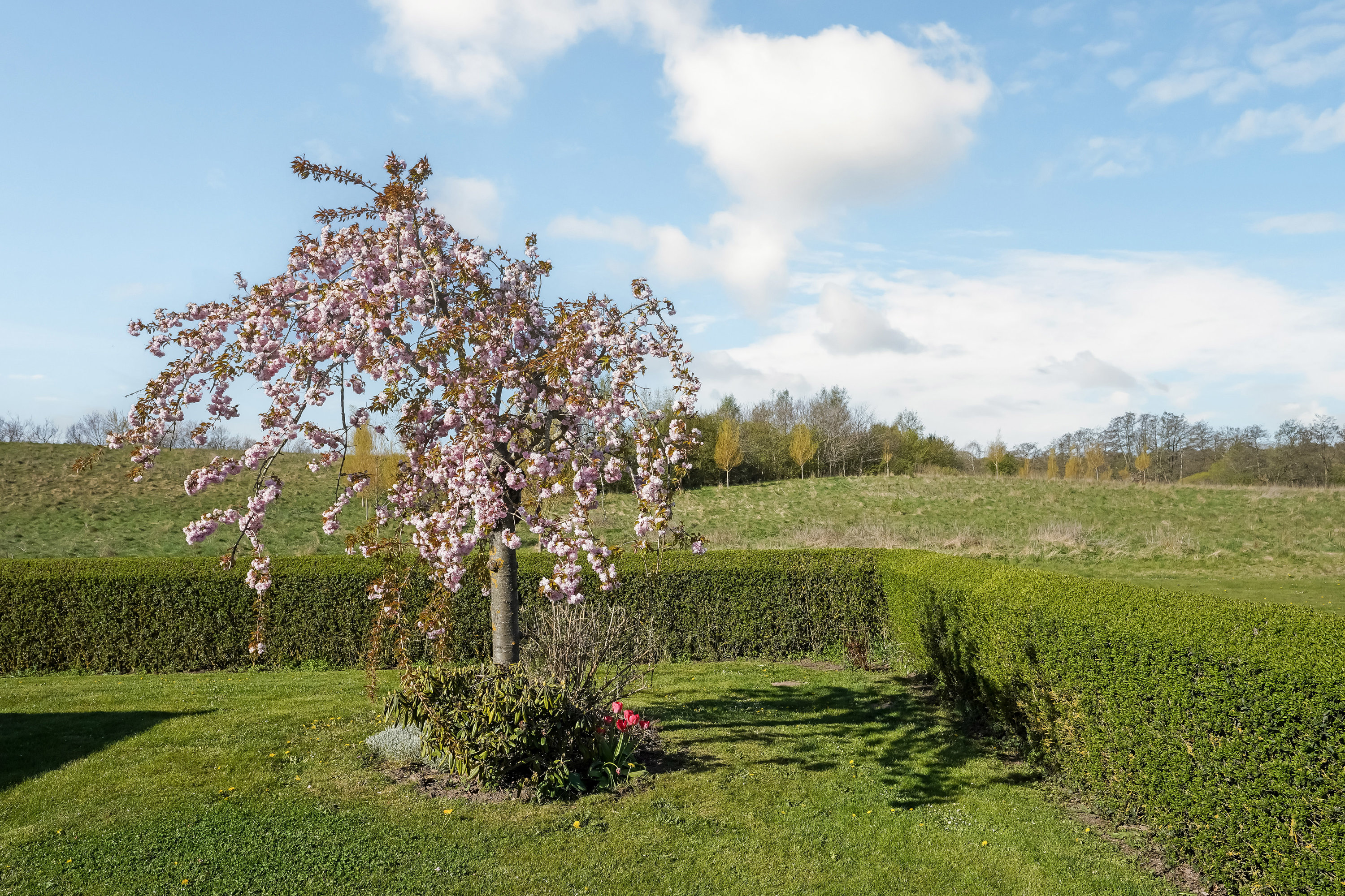 Bakkegårds Allé 71, 5550 Langeskov