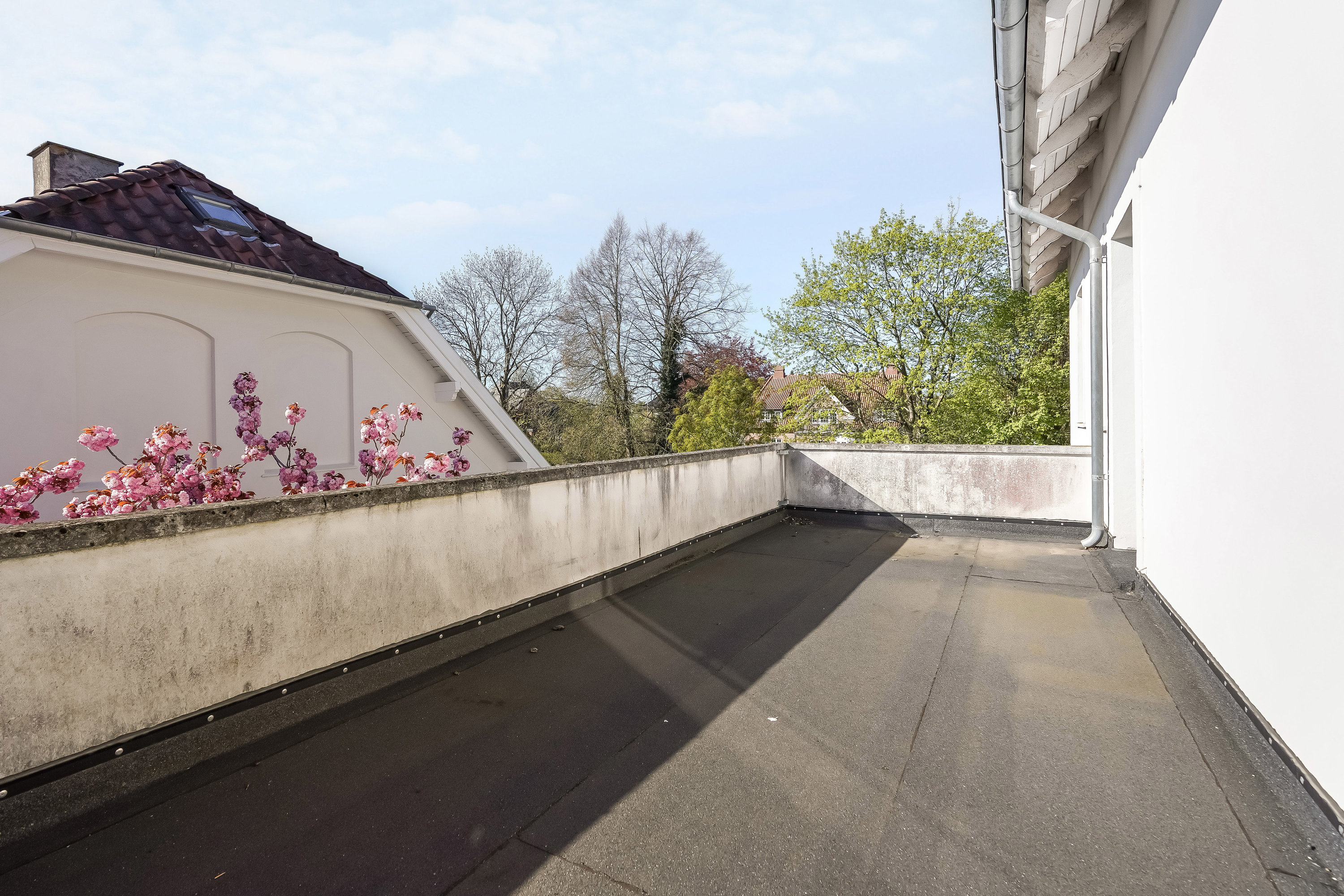 Fremhævet område billede i fuldskærmstilstand. Billede af Bülowsvej 17, 5230 Odense M