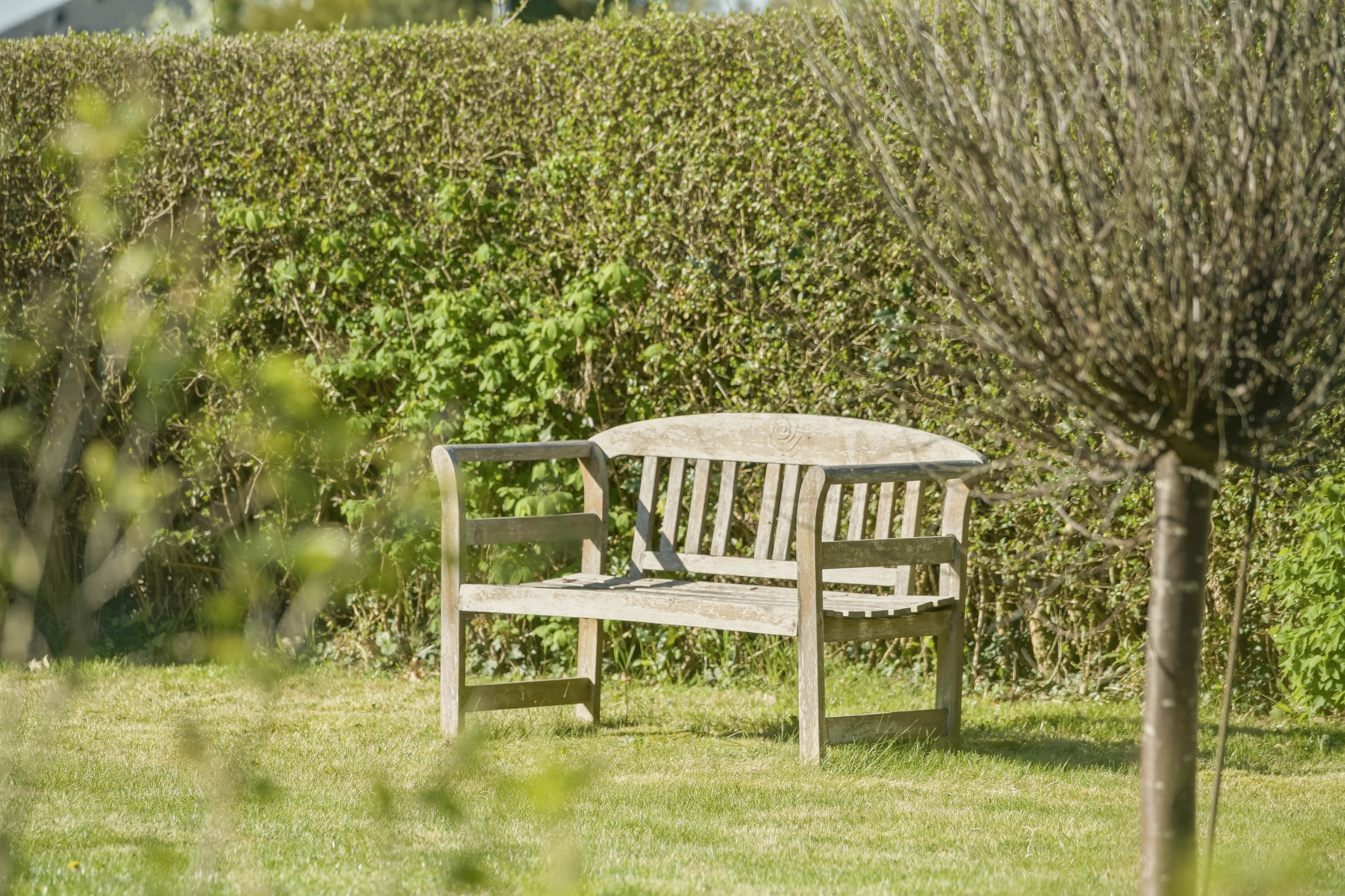 Fremhævet have billede i fuldskærmstilstand. Billede af Bueparken 196, 2750 Ballerup