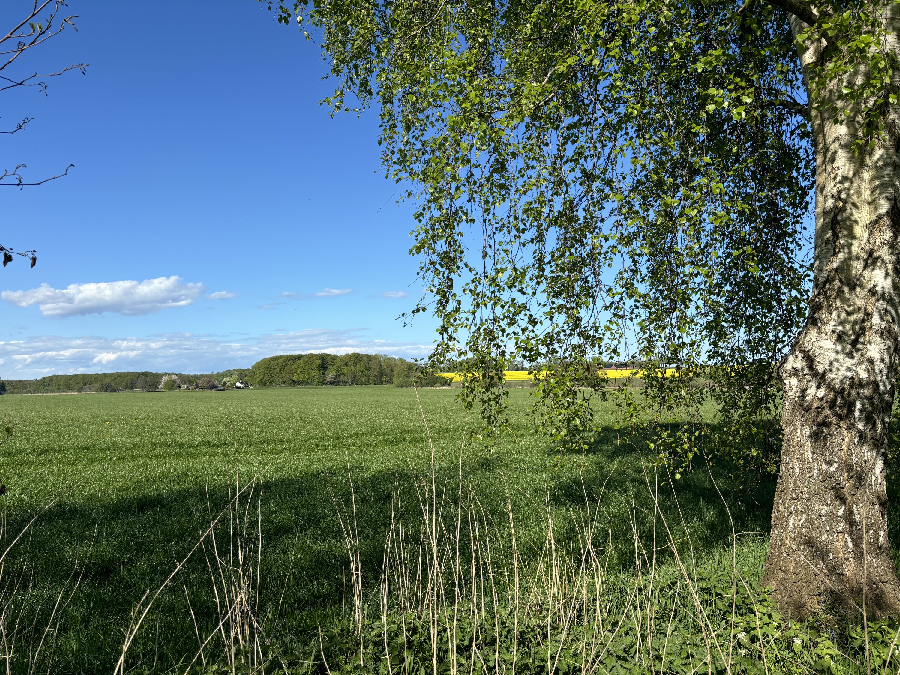 Fremhævet  billede i fuldskærmstilstand. Billede af Morsholt Mosevej 1, Morsholt, 8300 Odder