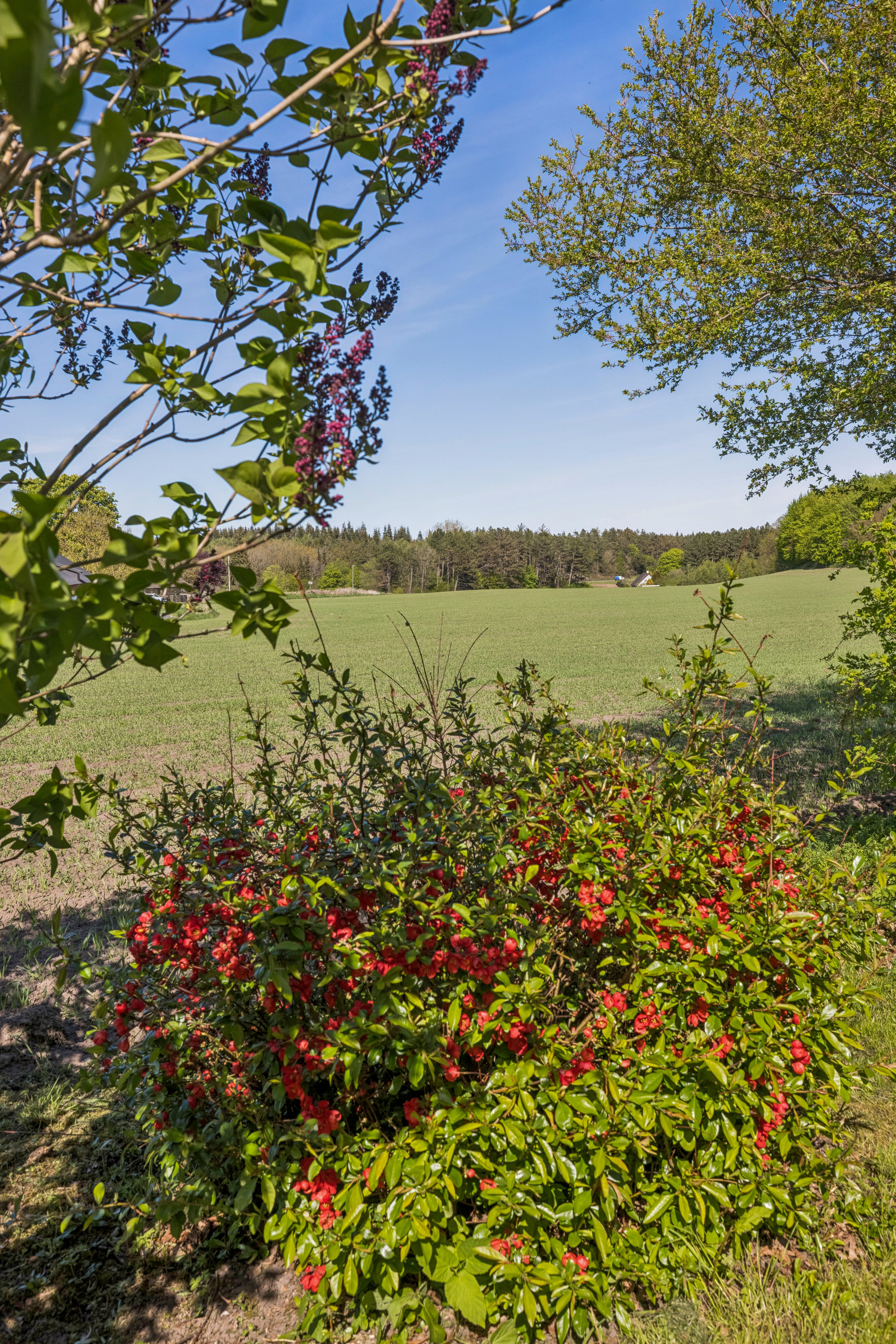 Gedebjergvej 4, Tåstrup, 8410 Rønde