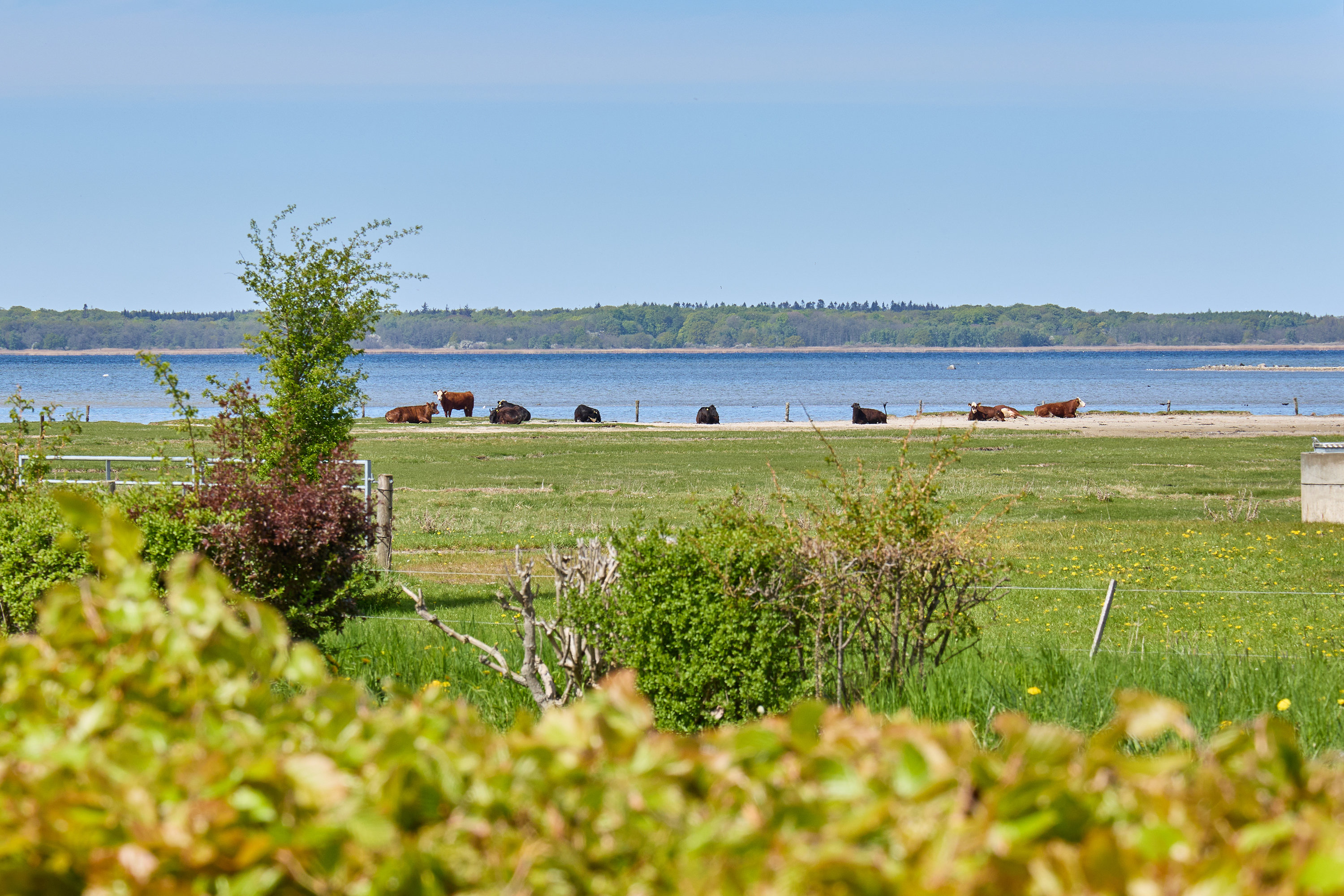Linderupvej 7, 3600 Frederikssund