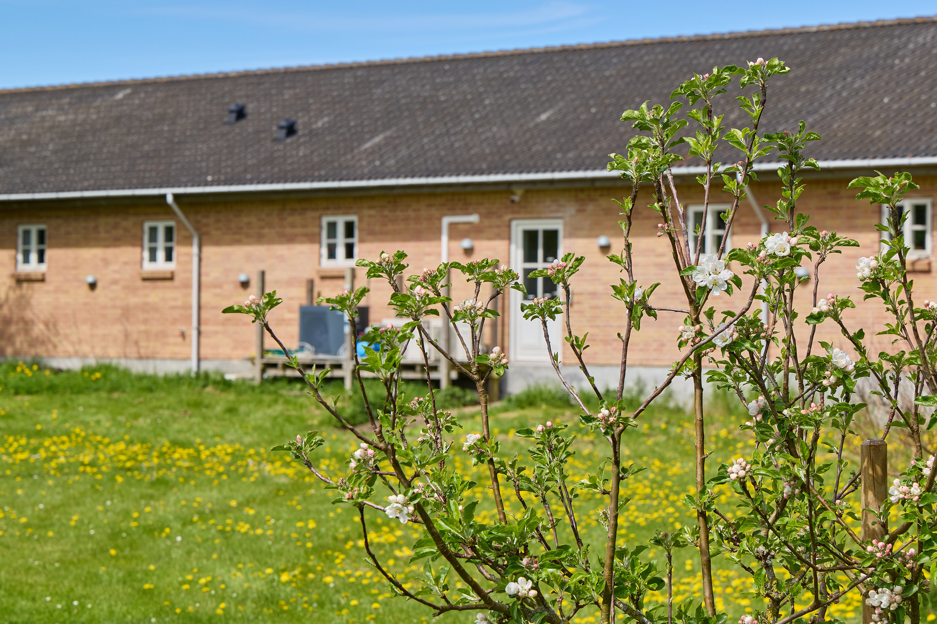 Fremhævet ejendommen billede i fuldskærmstilstand. Billede af Sigerslevvestervej 18, 3600 Frederikssund
