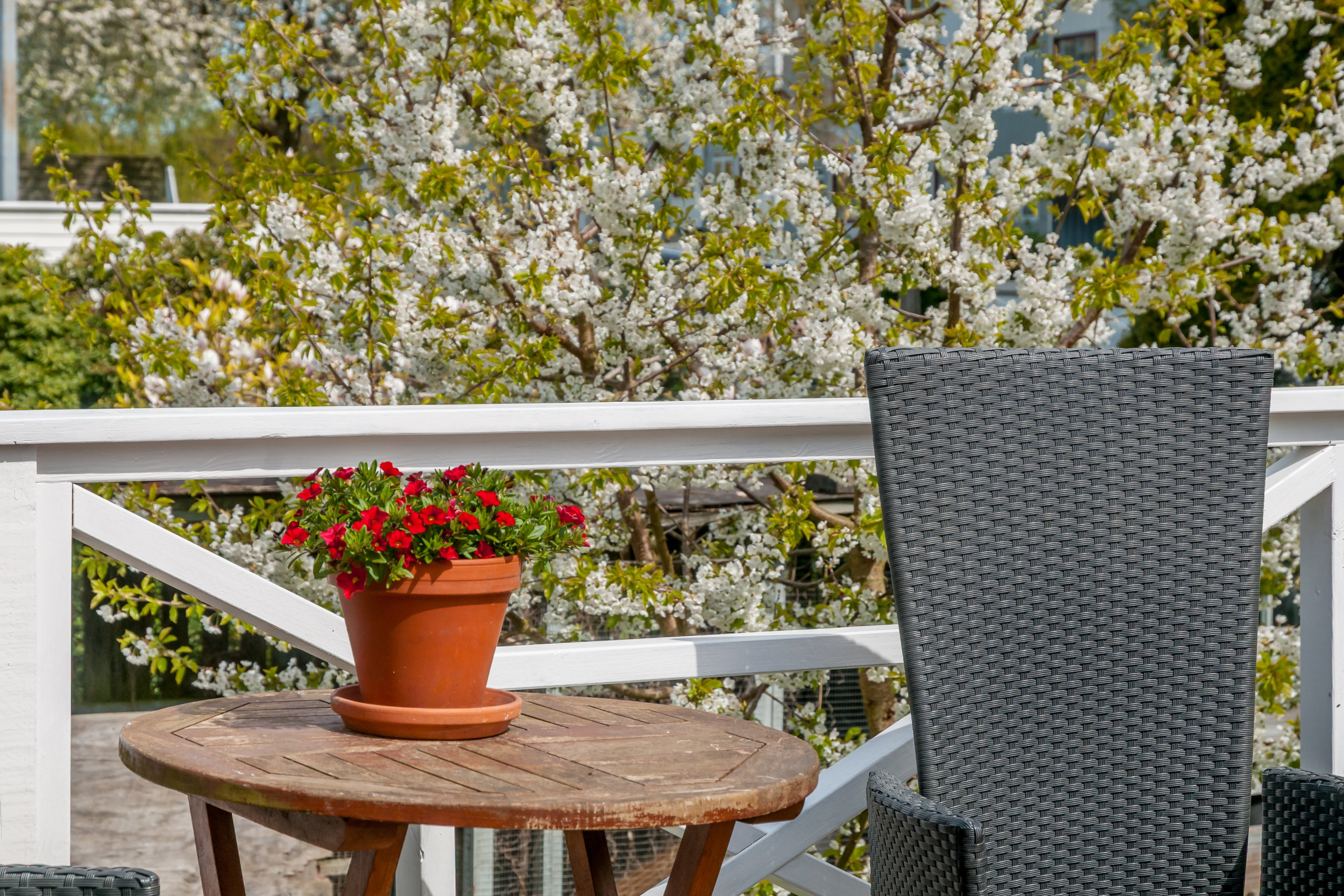 Fremhævet terrasse billede i fuldskærmstilstand. Billede af Carl Plougs Vej 3, 3000 Helsingør