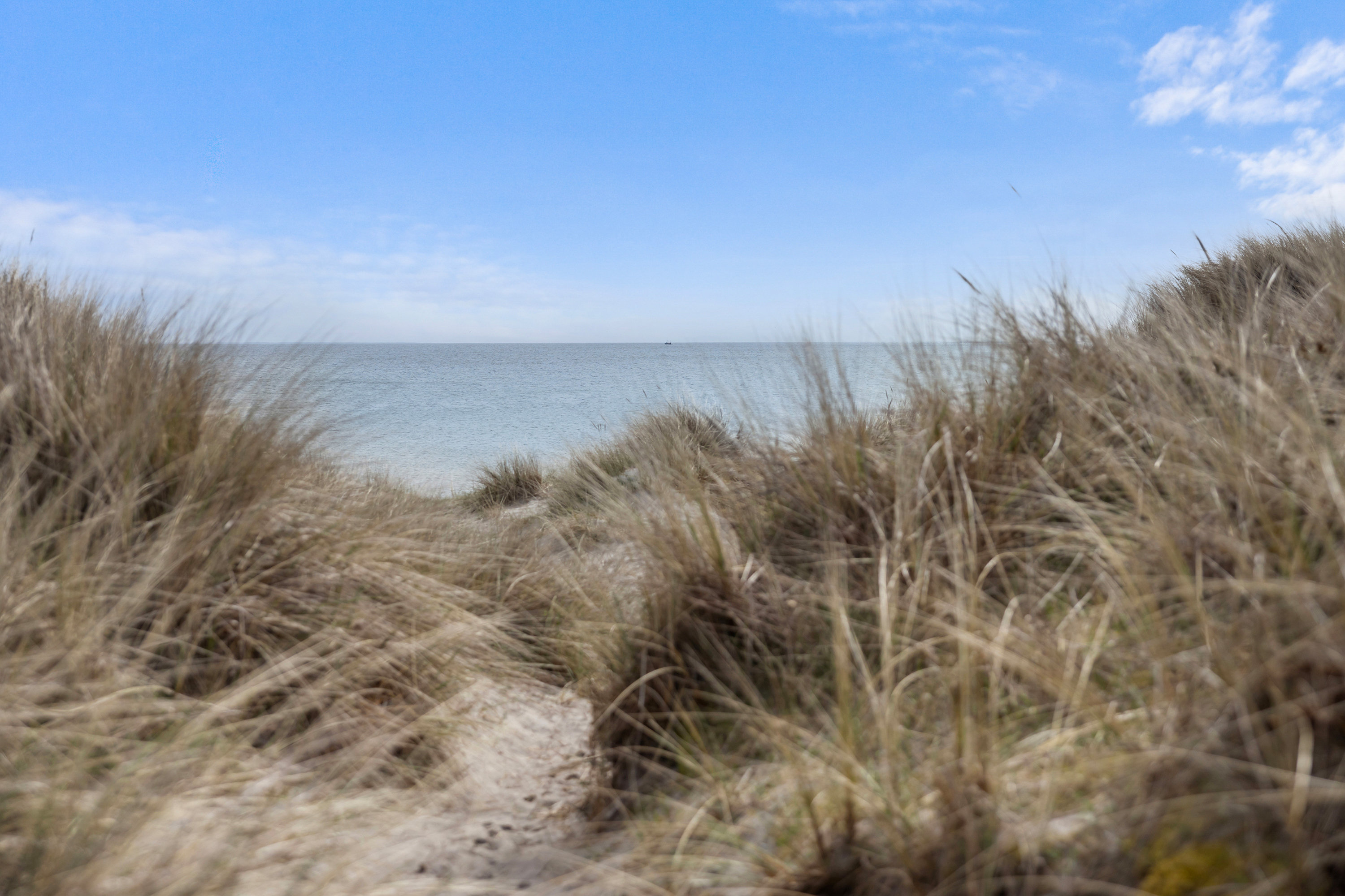 Fremhævet strand billede i fuldskærmstilstand. Billede af Agathesvej 11, Lyngså, 9300 Sæby