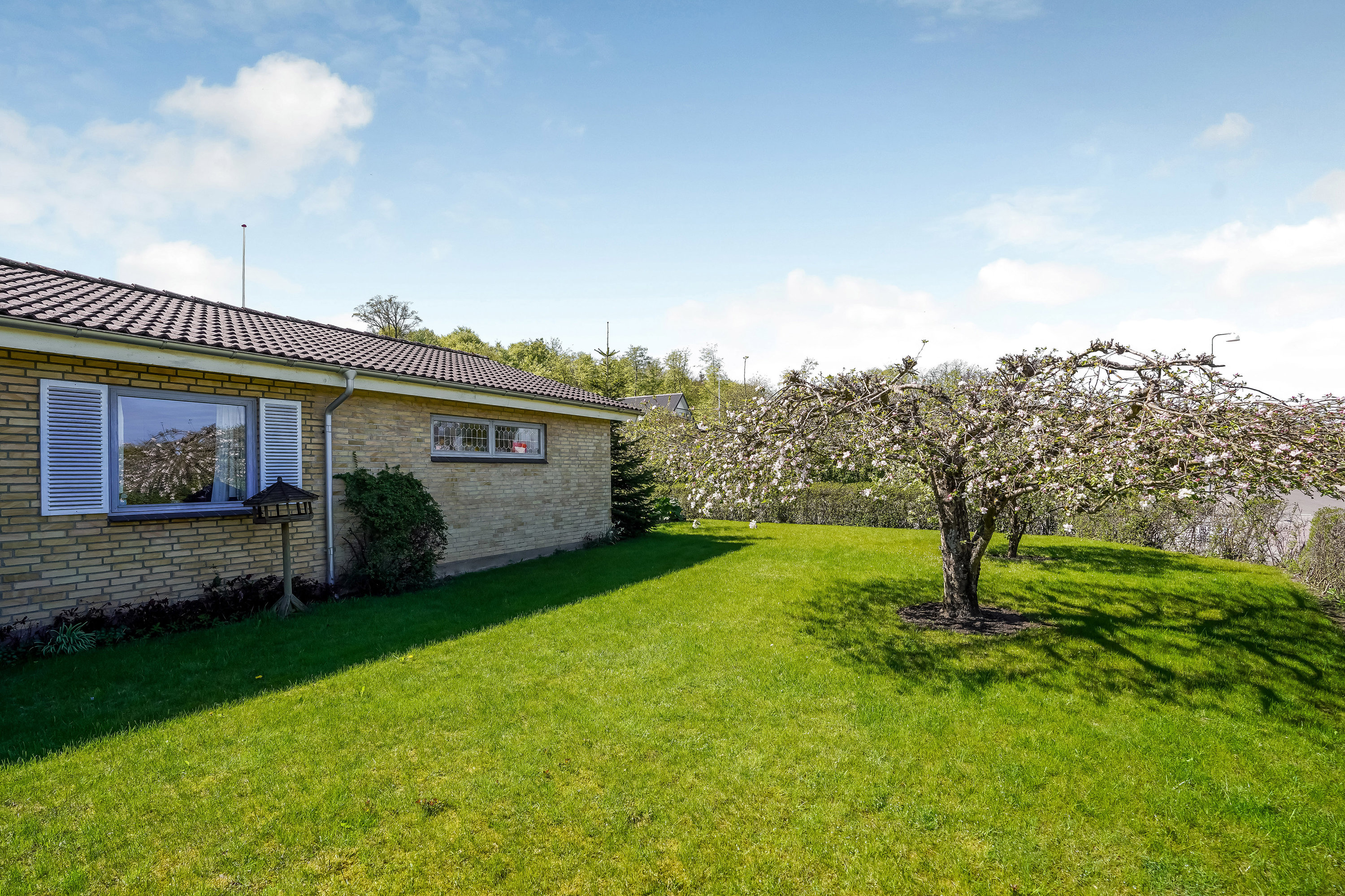 Fremhævet have billede i fuldskærmstilstand. Billede af Toftelundsvej 10, Tommerup St, 5690 Tommerup