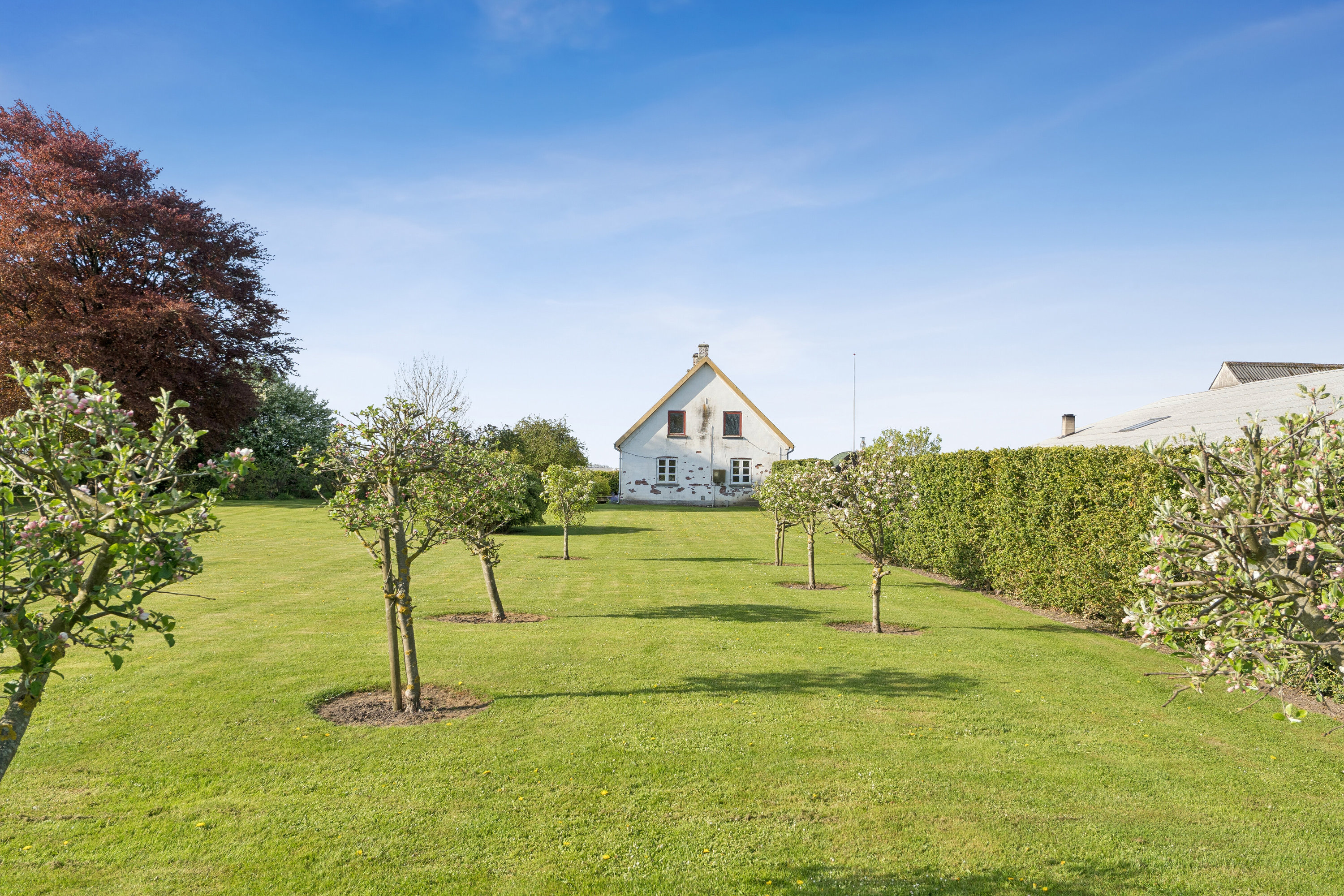 Fremhævet set fra haven billede i fuldskærmstilstand. Billede af Haugevej 18, Skovhus, 8620 Kjellerup