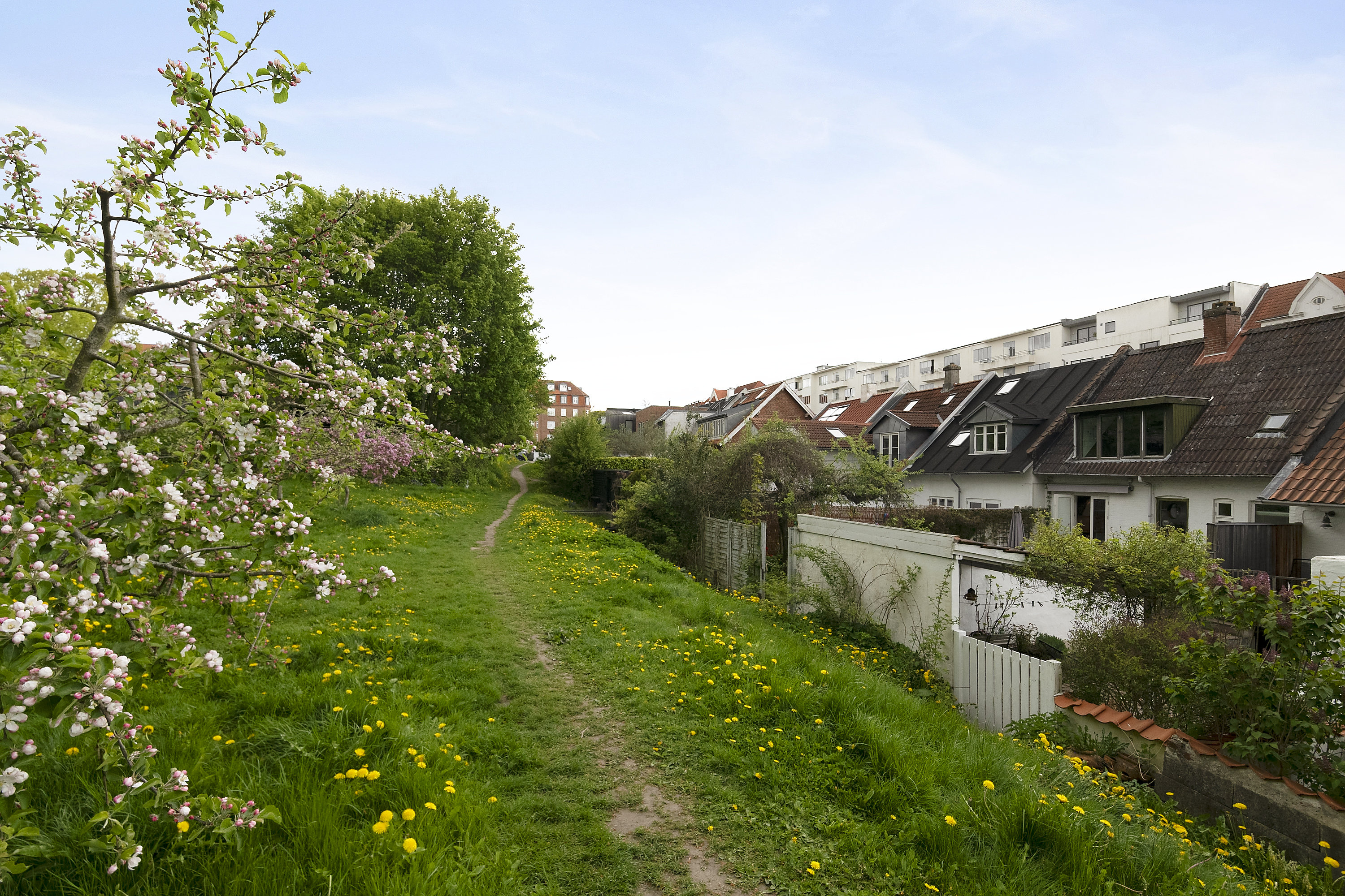 Fremhævet område billede i fuldskærmstilstand. Billede af Skovvejen 111, 8000 Aarhus C