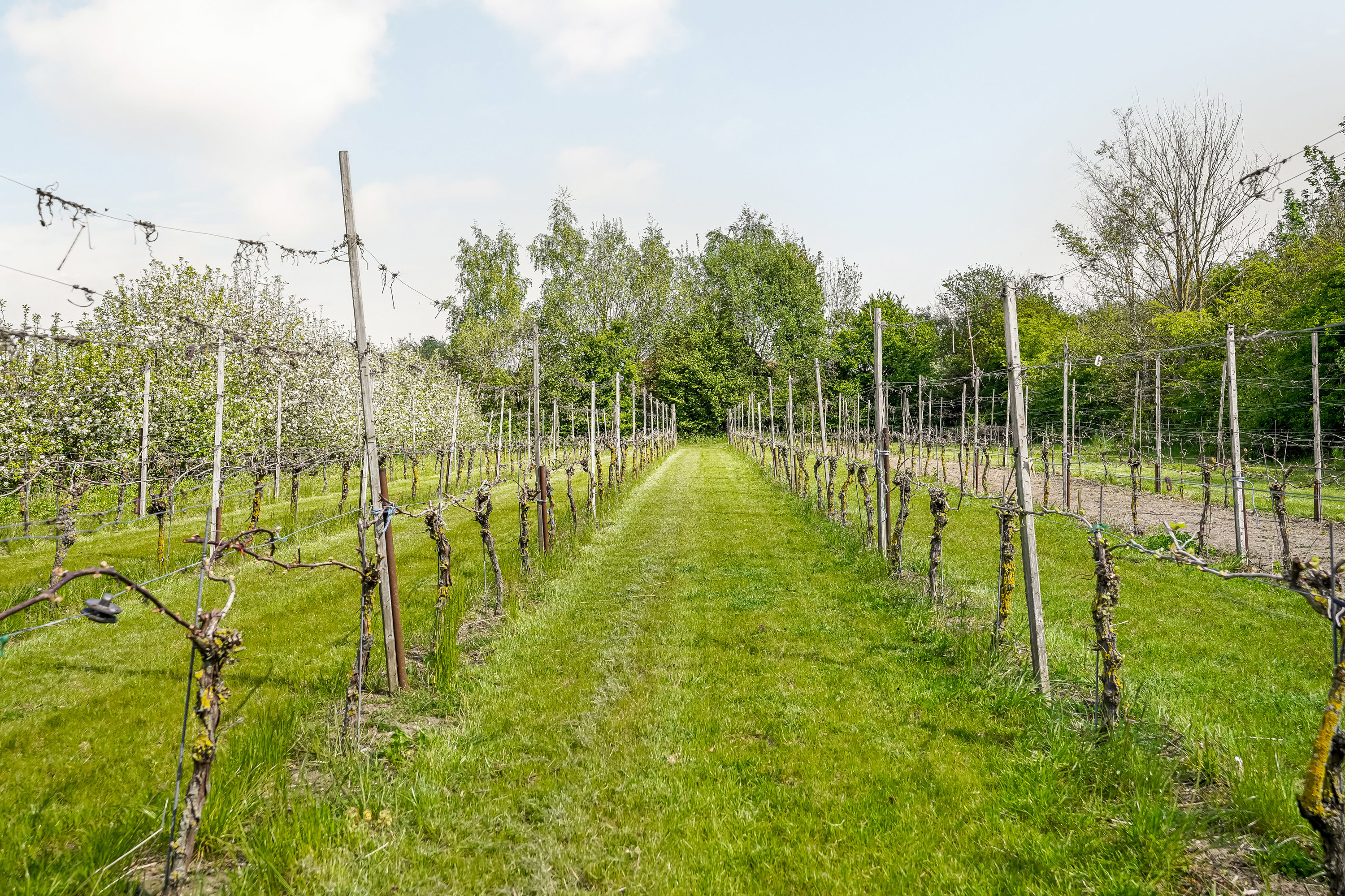 Agerstien 2, Tårup, 5591 Gelsted
