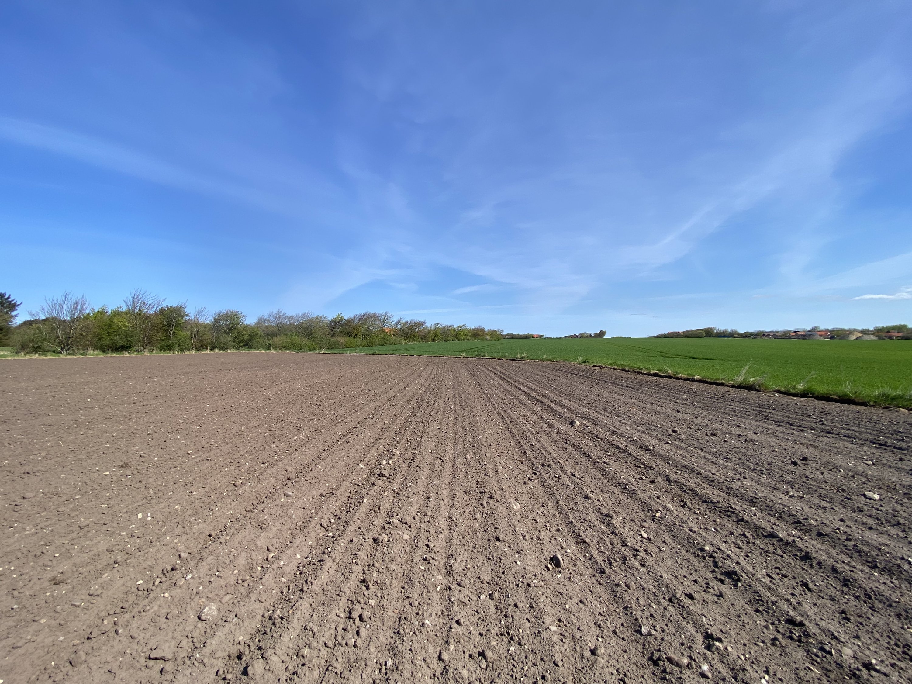 Fremhævet  billede i fuldskærmstilstand. Billede af Nørbyvej 27, Holmsland, 6950 Ringkøbing