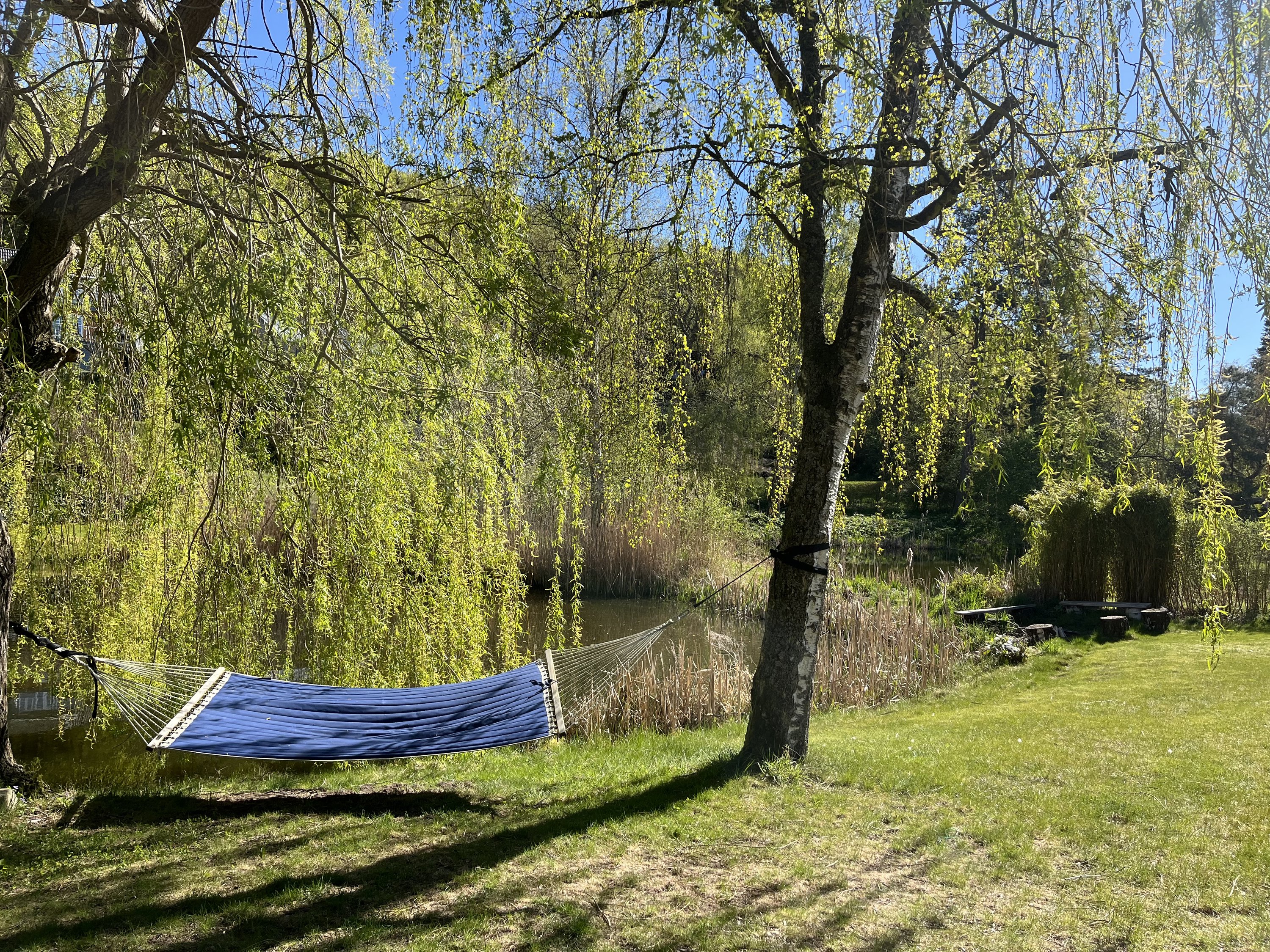 Fremhævet  billede i fuldskærmstilstand. Billede af Anemonevej 9, Hareskov, 3500 Værløse