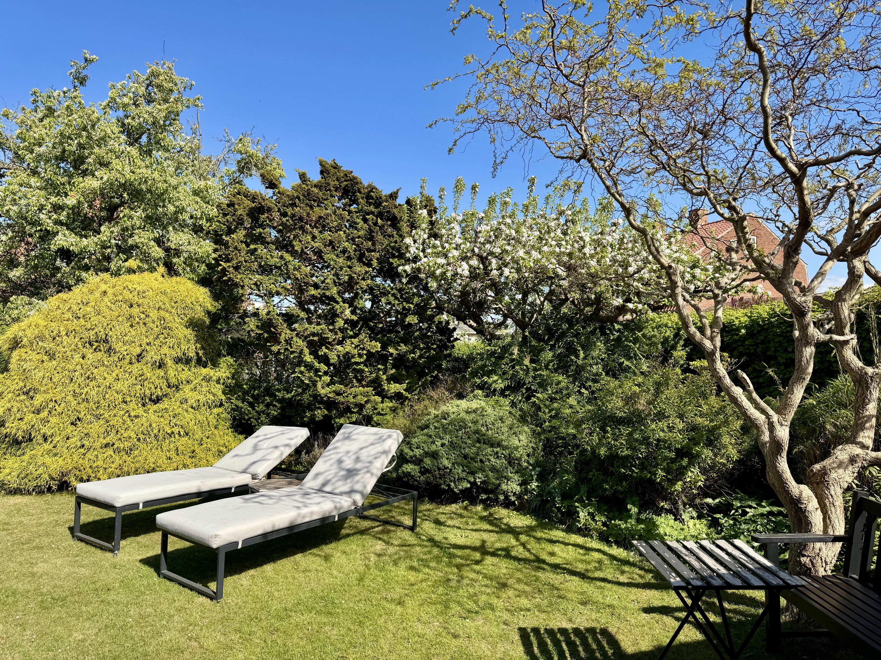 Hellasvej 13, 2300 København S