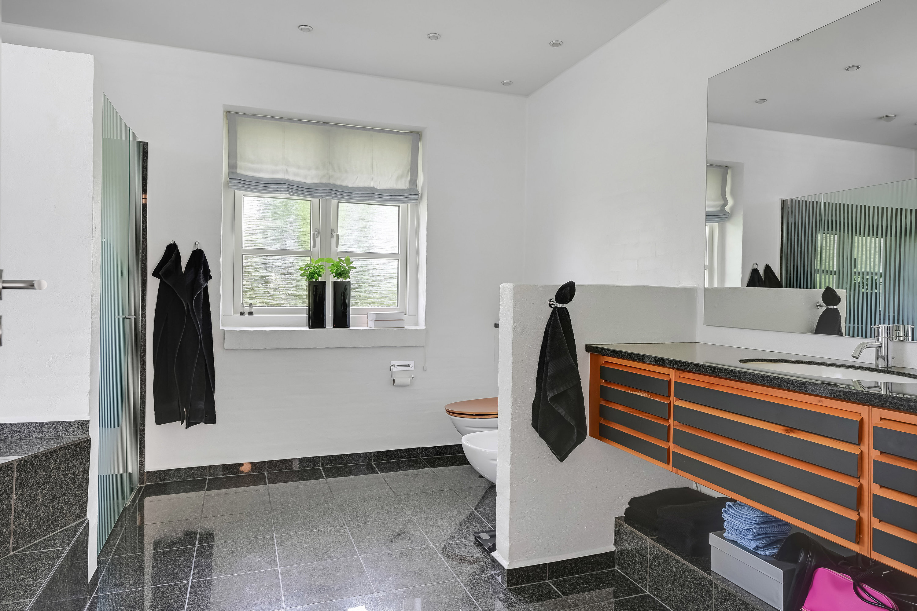 Fremhævet toilet billede i fuldskærmstilstand. Billede af Ingemanns Alle 173, 6700 Esbjerg