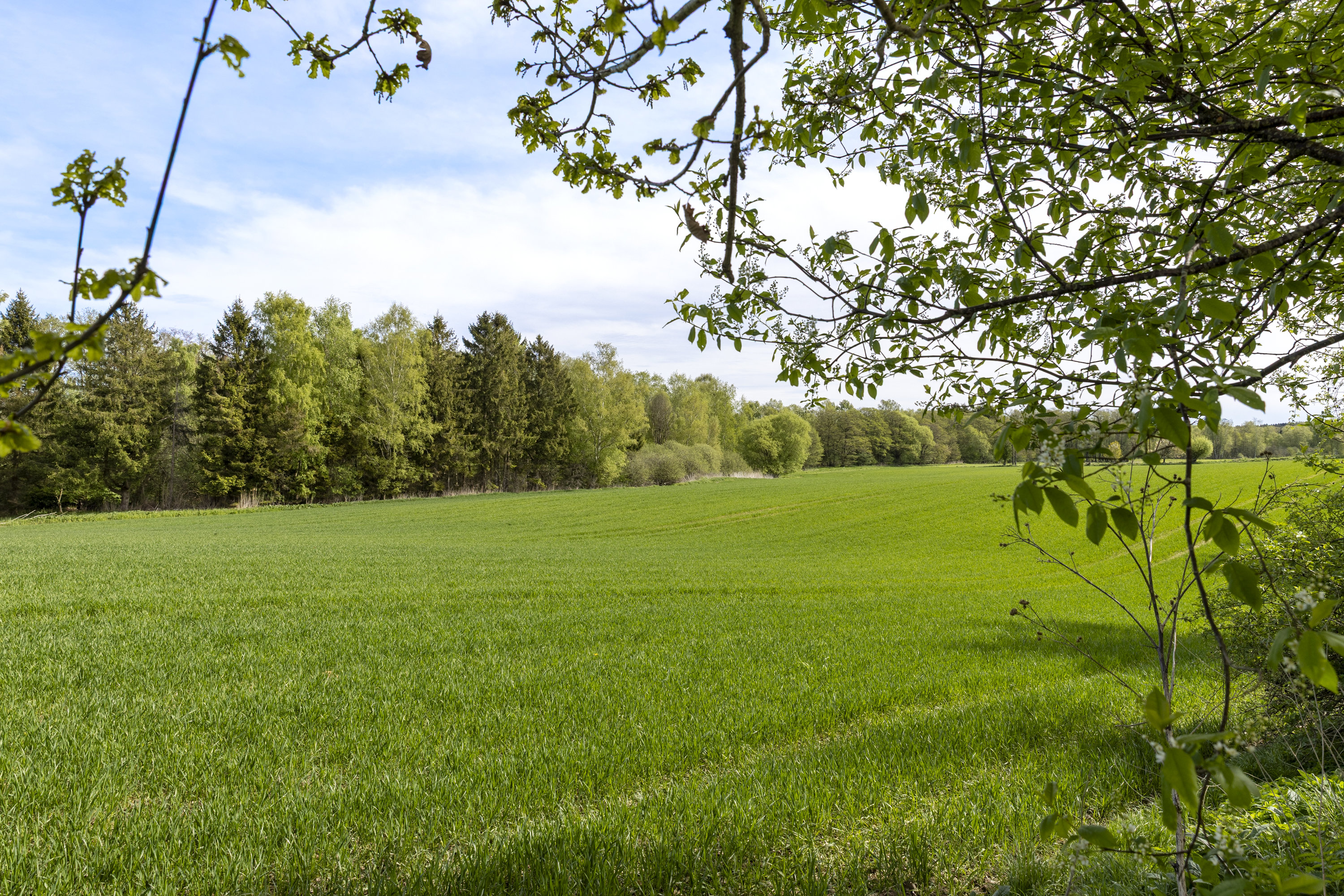 Fremhævet udsigt billede i fuldskærmstilstand. Billede af Kalundborgvej 102, 4190 Munke Bjergby