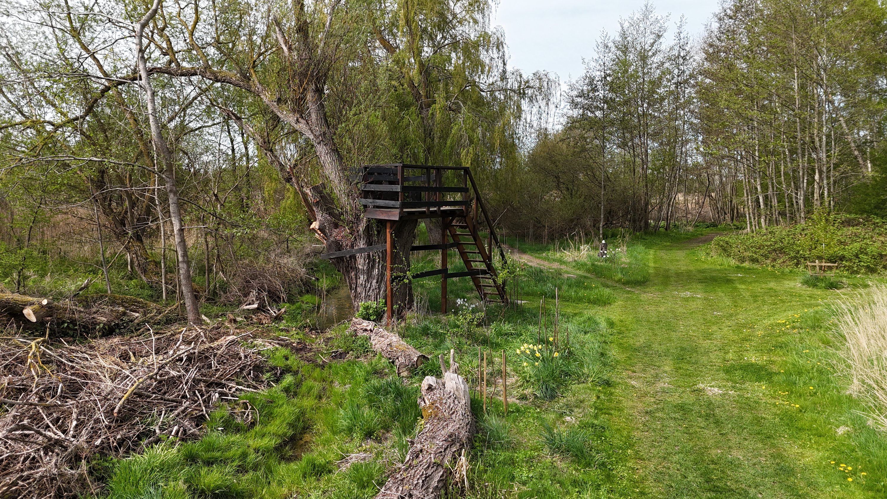 Fremhævet  billede i fuldskærmstilstand. Billede af Stevnsvej 146, 4671 Strøby