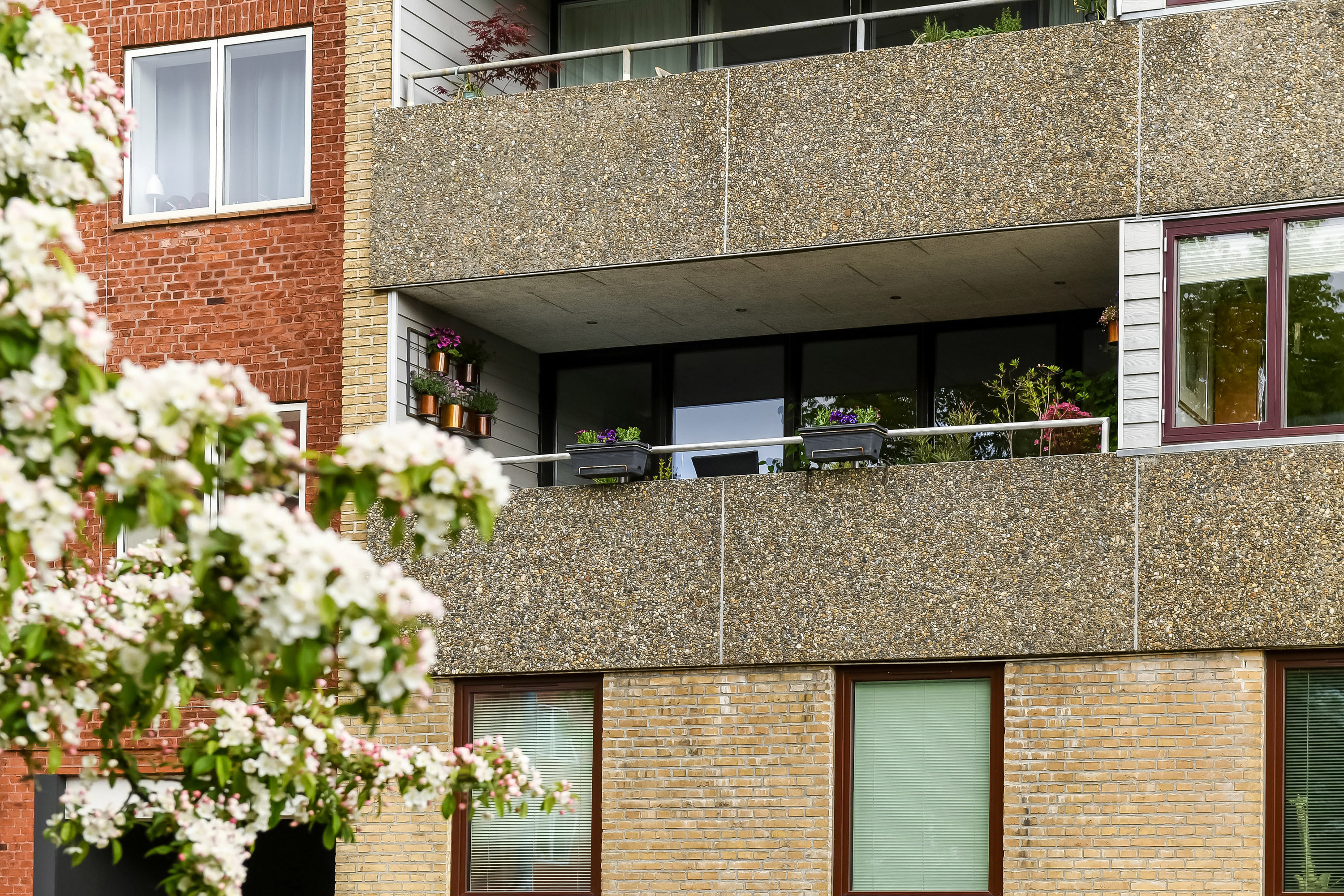 Fremhævet ejendommen billede i fuldskærmstilstand. Billede af Skjoldsgade 10, 1. th., 6700 Esbjerg
