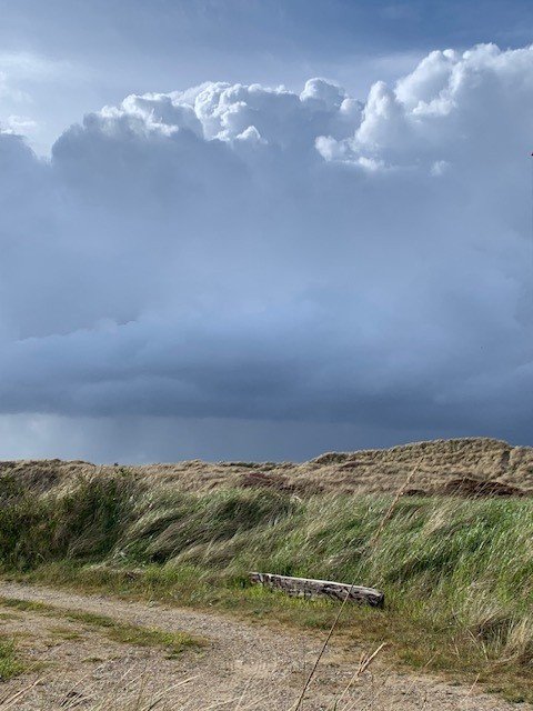 Fremhævet  billede i fuldskærmstilstand. Billede af Hamiltonvej 25D, 9990 Skagen