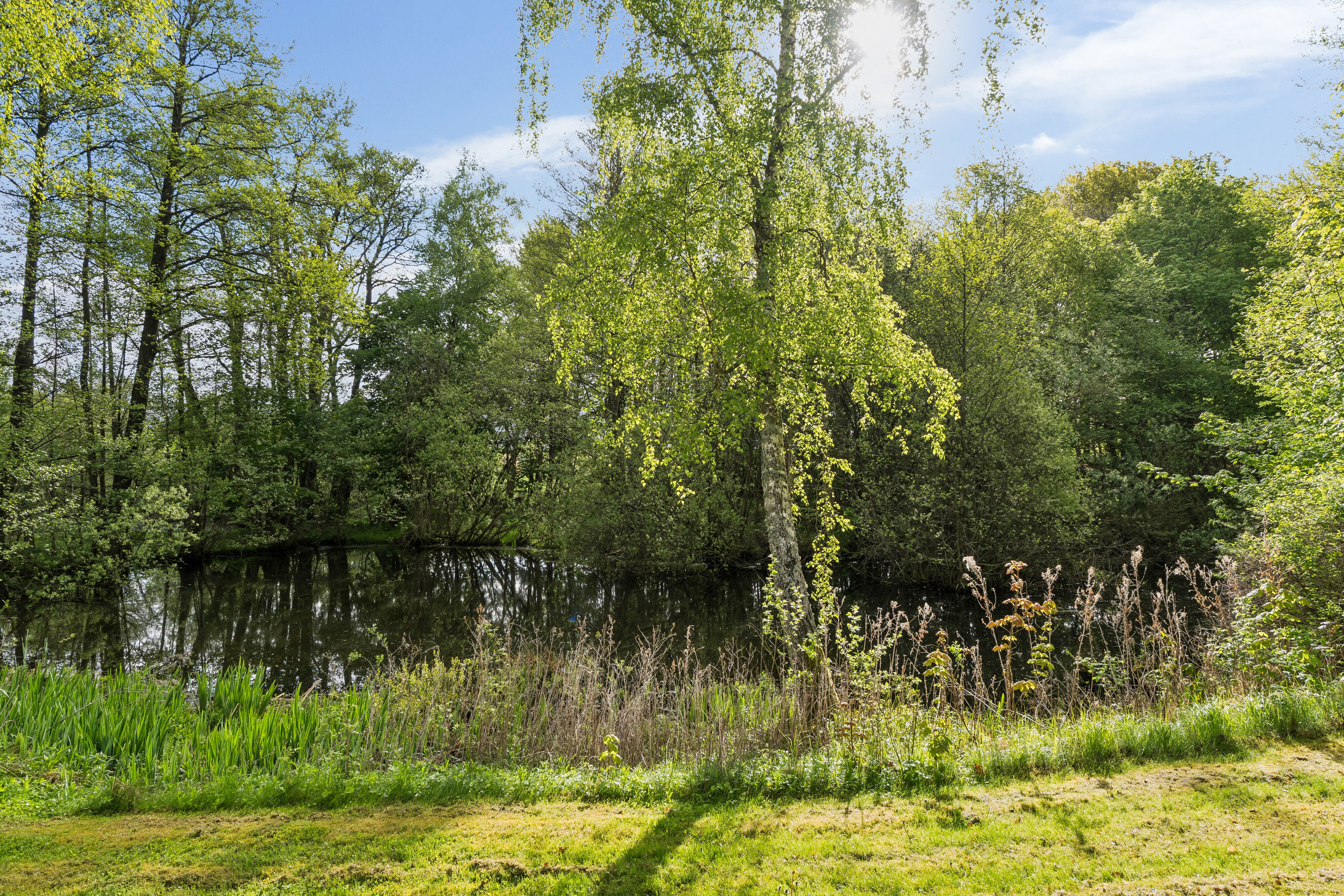 Fremhævet have billede i fuldskærmstilstand. Billede af Holmenevej 25, Holmene, 3140 Ålsgårde