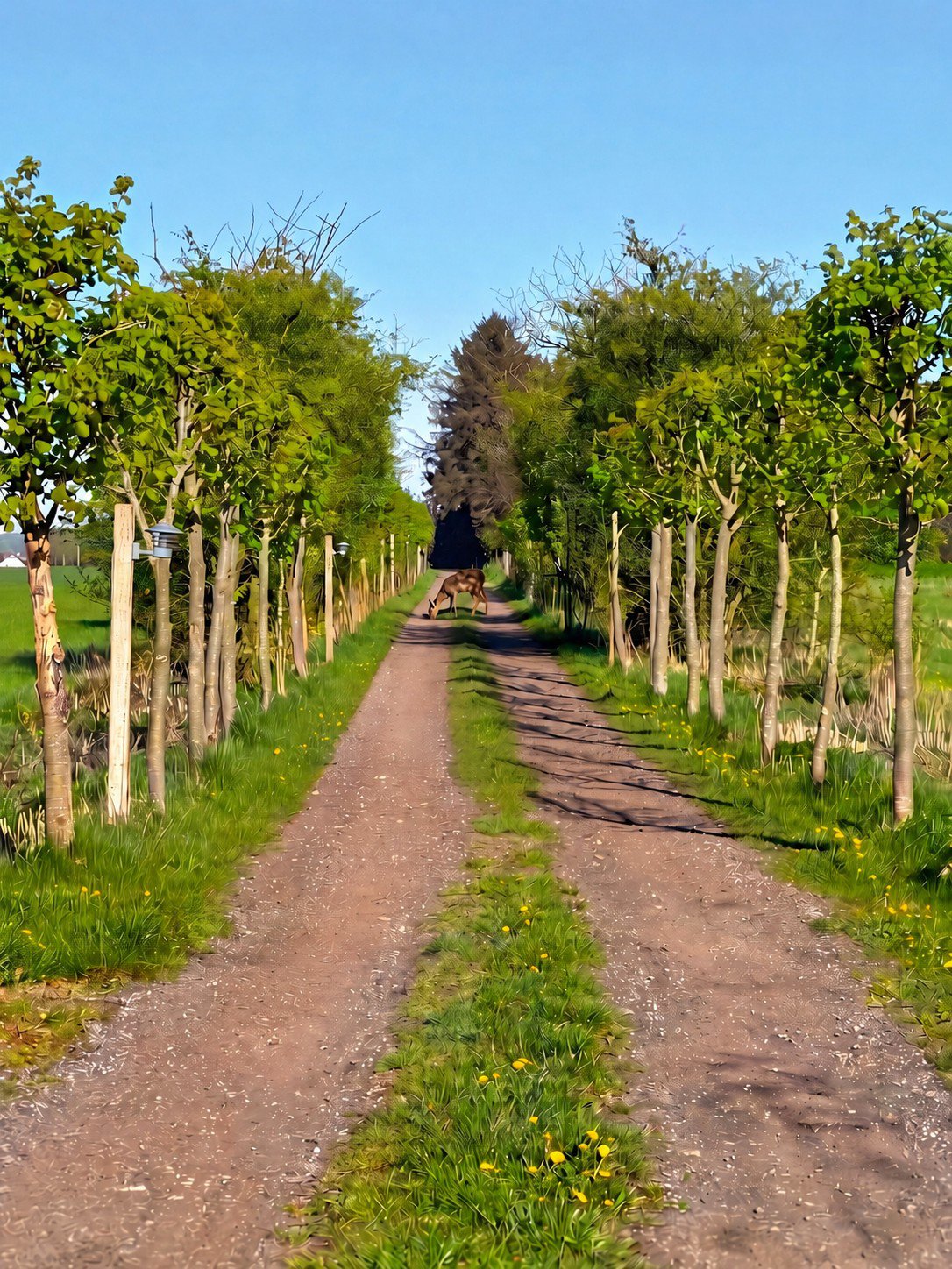 Engvej 15, Nørhalne, 9430 Vadum