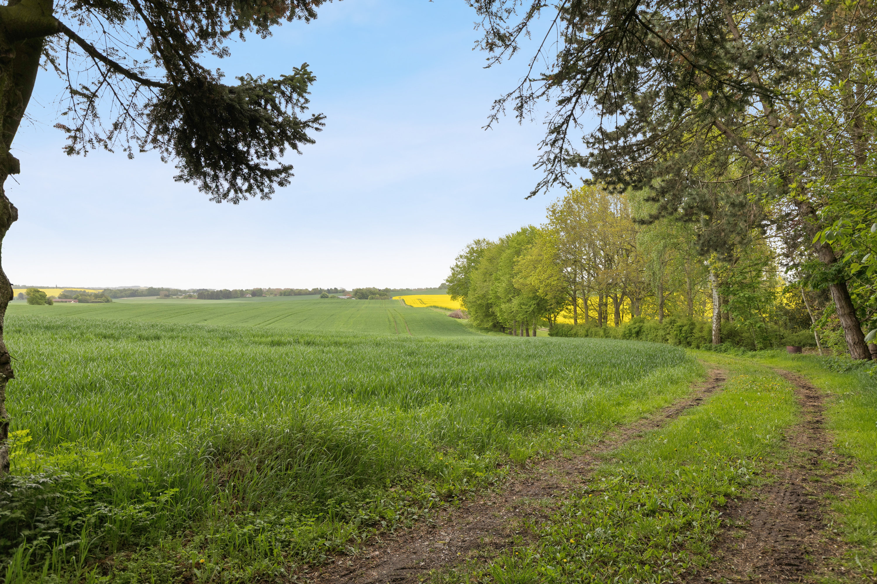 Fremhævet omgivelser billede i fuldskærmstilstand. Billede af Skippingevej 6, Særslev, 4460 Snertinge