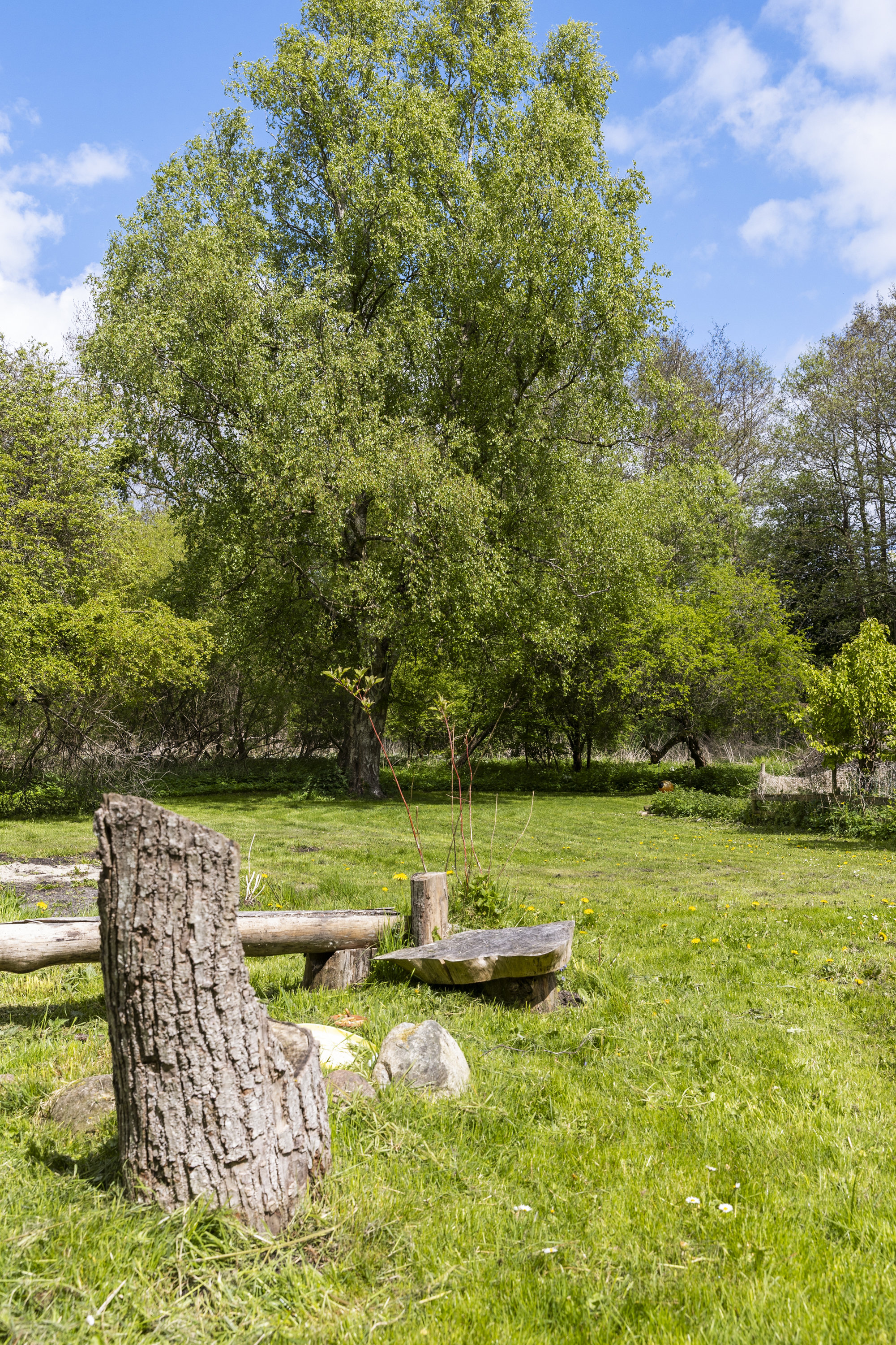 Fremhævet have billede i fuldskærmstilstand. Billede af Haverupvej 22, 4180 Sorø