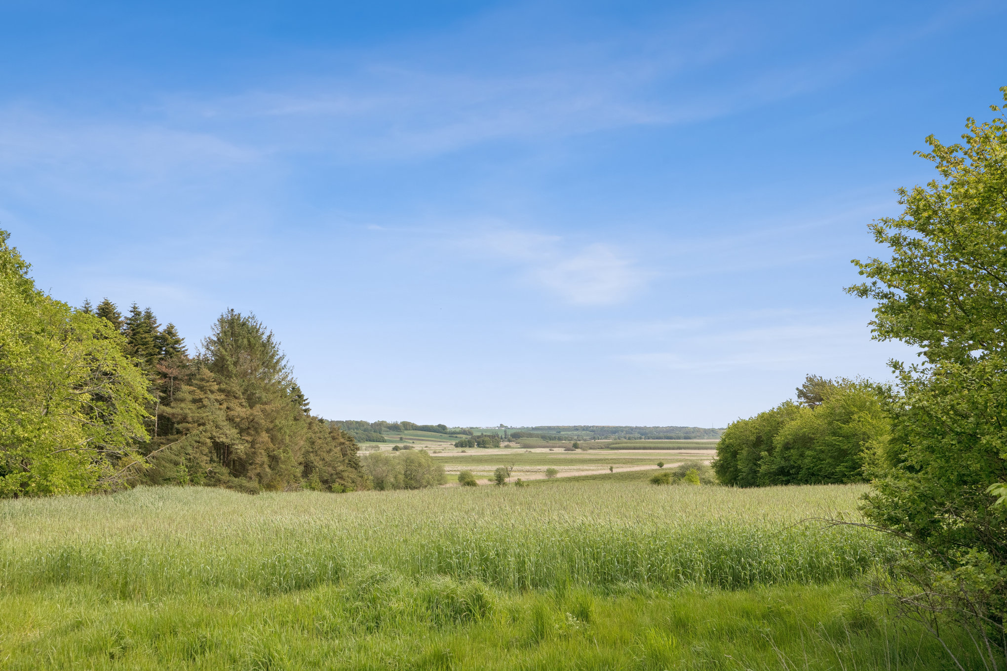Milskovvej 18, Helstrup, 8920 Randers NV
