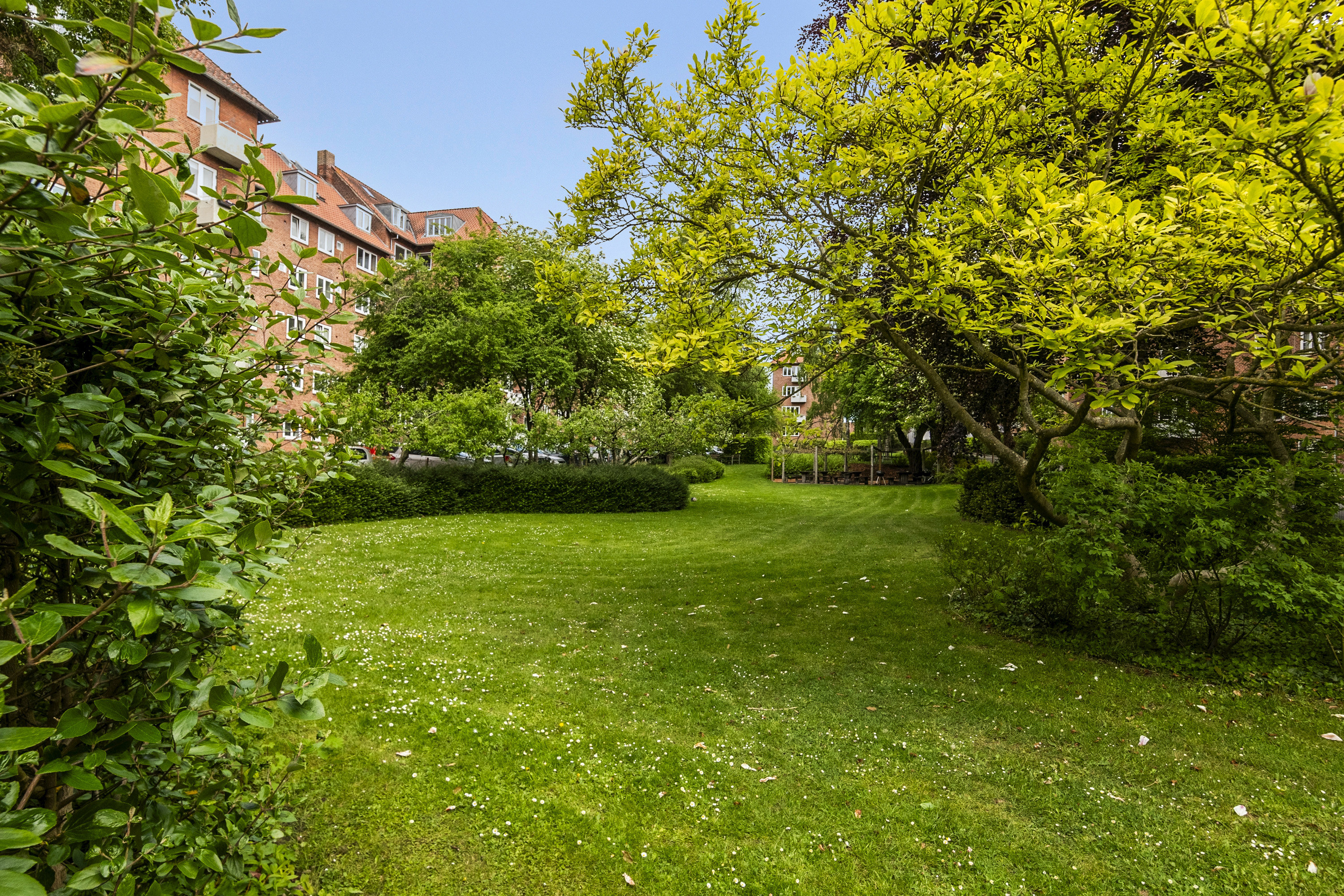 Fremhævet have billede i fuldskærmstilstand. Billede af Vestre Ringgade 56, 4. tv., 8000 Aarhus C