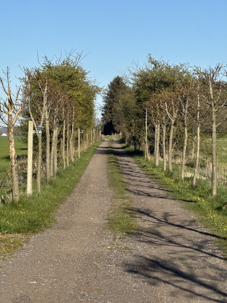 Fremhævet  billede i fuldskærmstilstand. Billede af Engvej 15, Nørhalne, 9430 Vadum