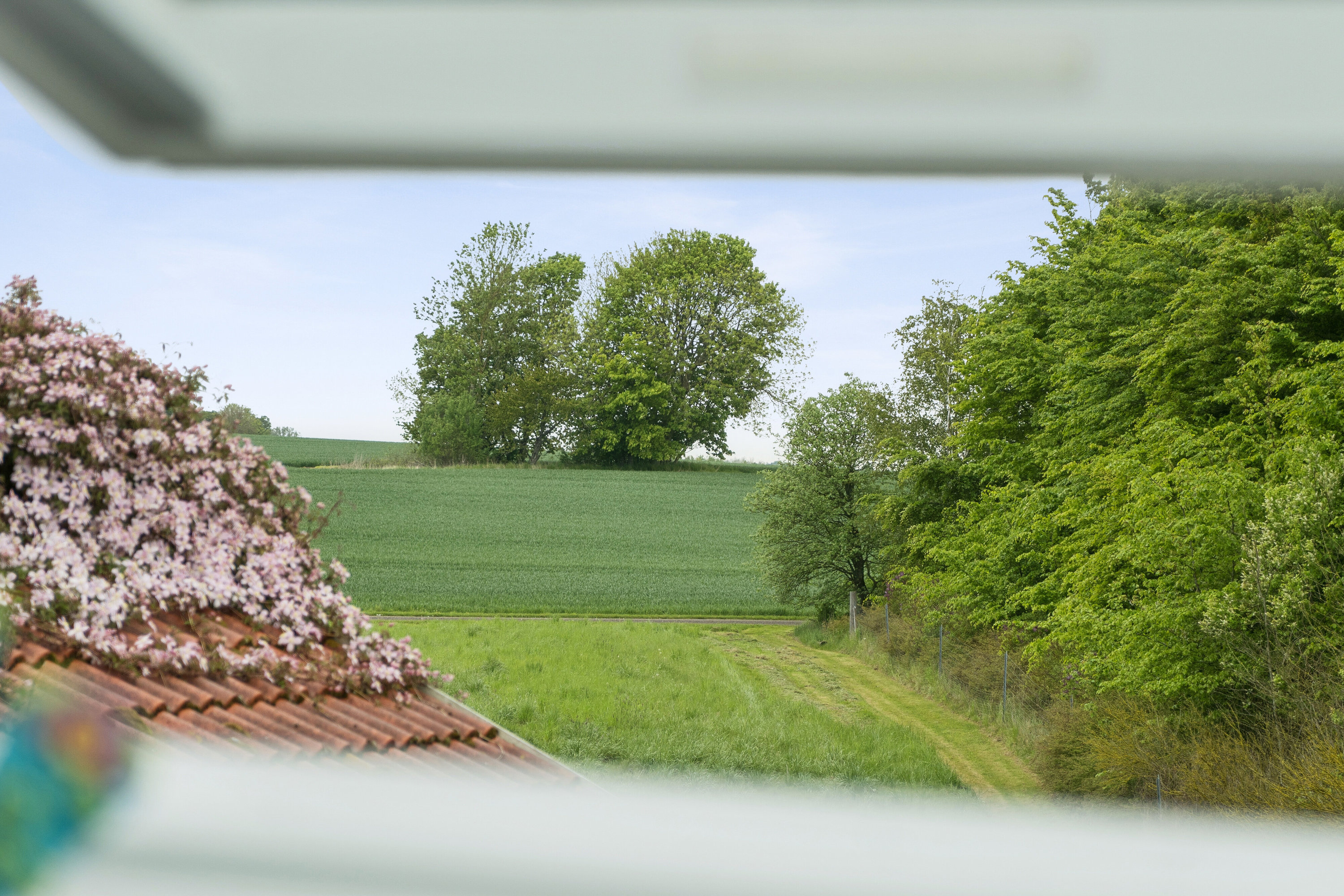 Fremhævet udendørs billede i fuldskærmstilstand. Billede af Grønhøjvej 7, Kirke Stillinge, 4200 Slagelse