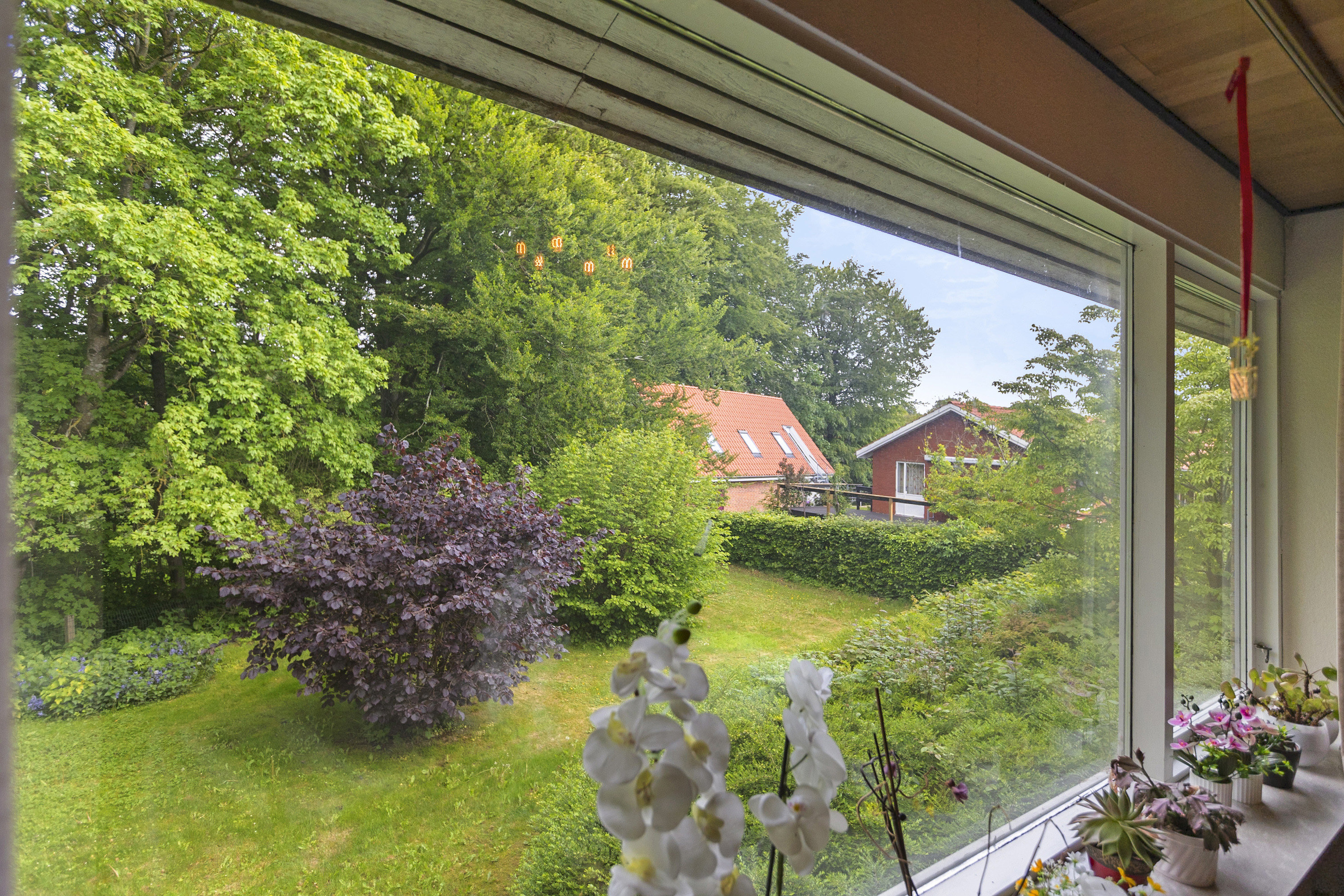 Fremhævet område billede i fuldskærmstilstand. Billede af Farverhus 19, 6200 Aabenraa