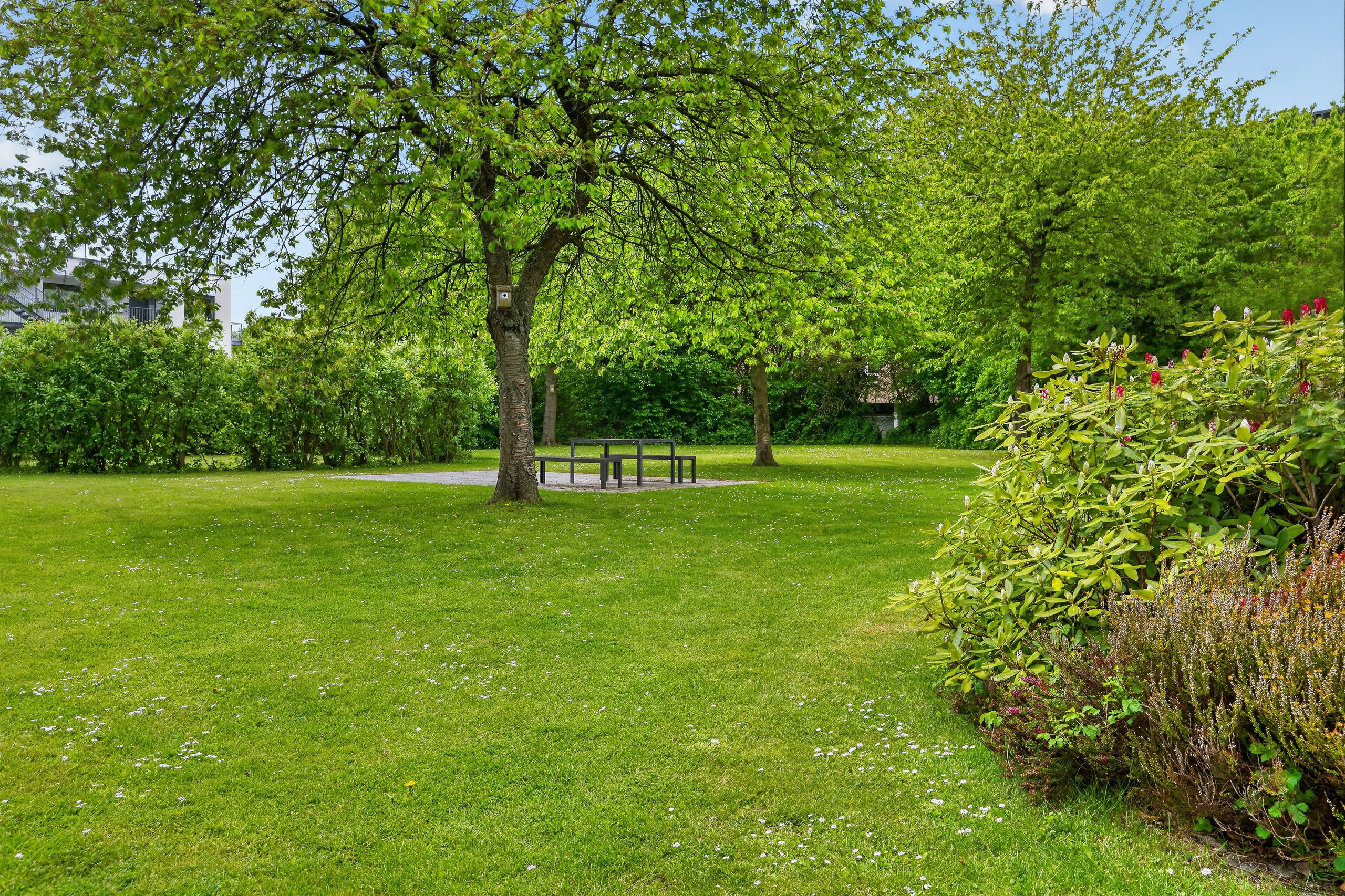 Fremhævet område billede i fuldskærmstilstand. Billede af Elmelyparken 7B, 1. th., 2680 Solrød Strand