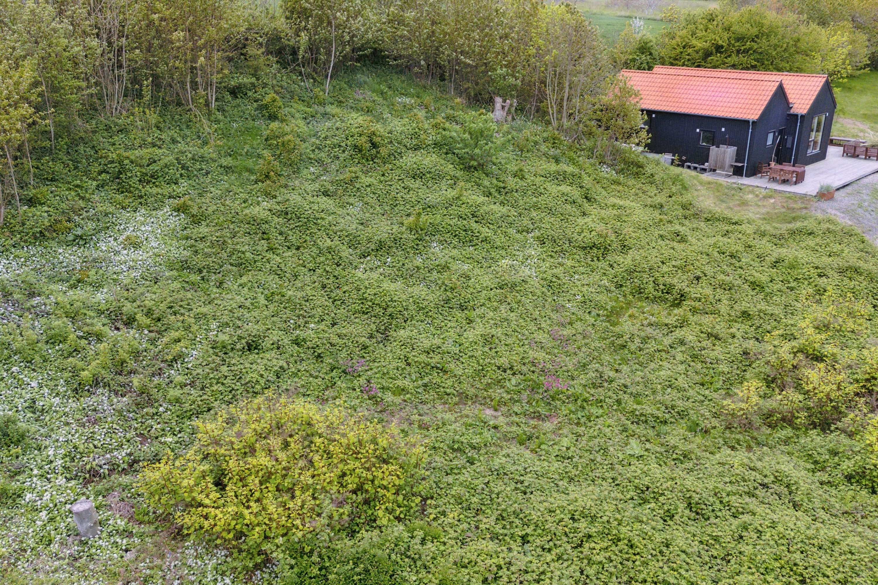 Elverhøj 8, Listed, 3740 Svaneke
