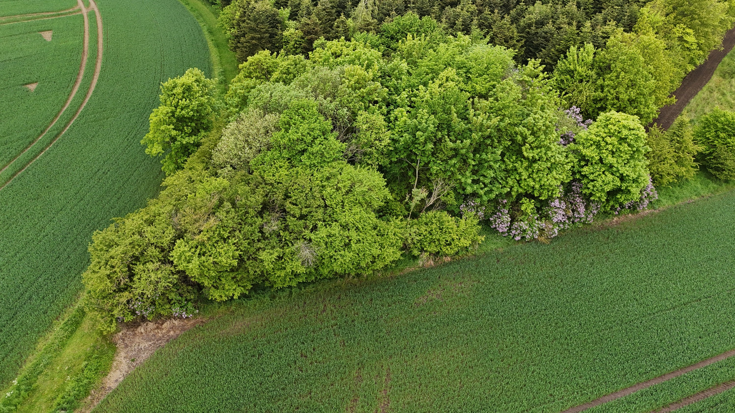 Kildebakkevej 28, Stouby, 8983 Gjerlev J