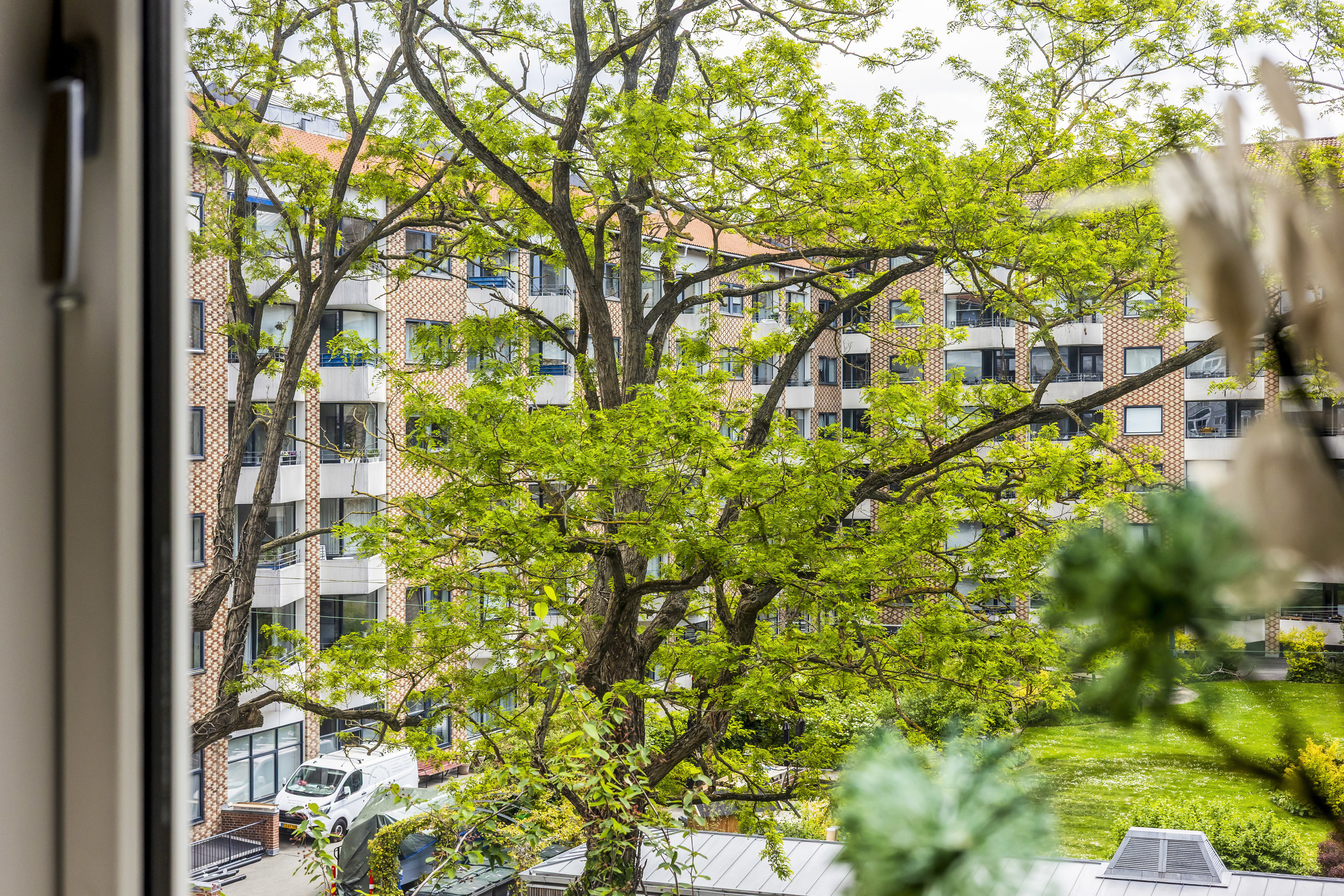 Fremhævet  billede i fuldskærmstilstand. Billede af Adelgade 49, 3. tv., 1304 København K