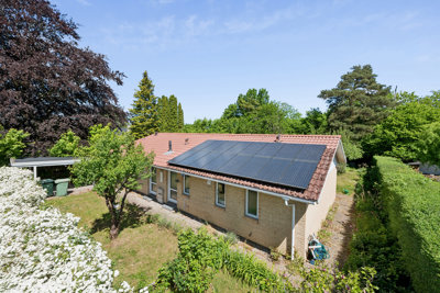 Hanehøj 36