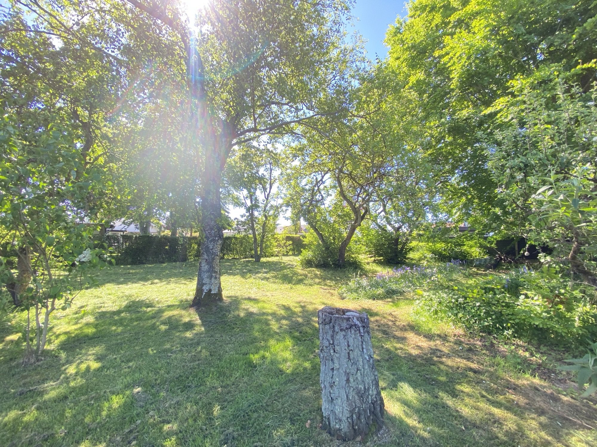 Fremhævet  billede i fuldskærmstilstand. Billede af Bøgevej 28, Rindum, 6950 Ringkøbing