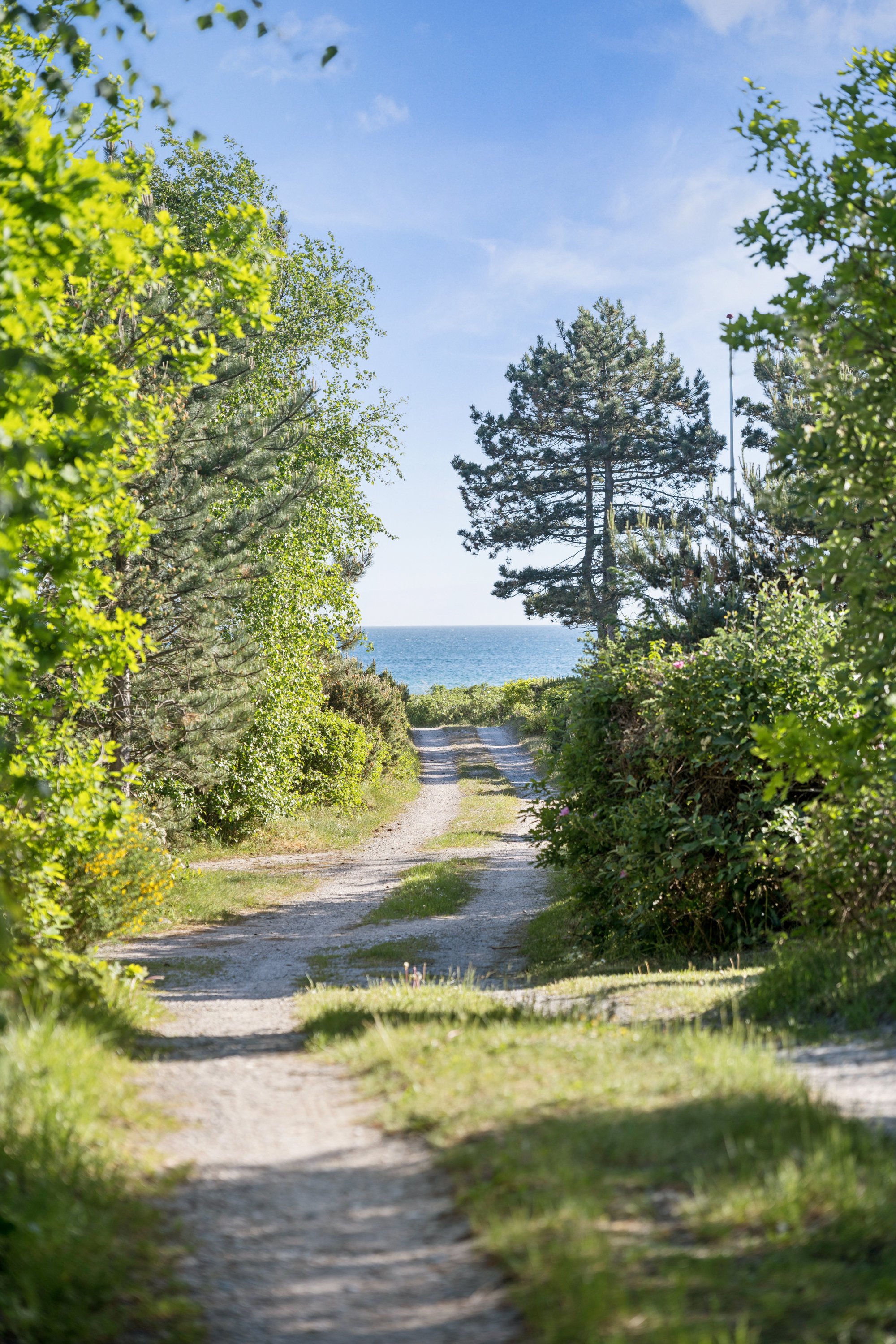 Fremhævet have billede i fuldskærmstilstand. Billede af Strands Mosevej 4, 8420 Knebel