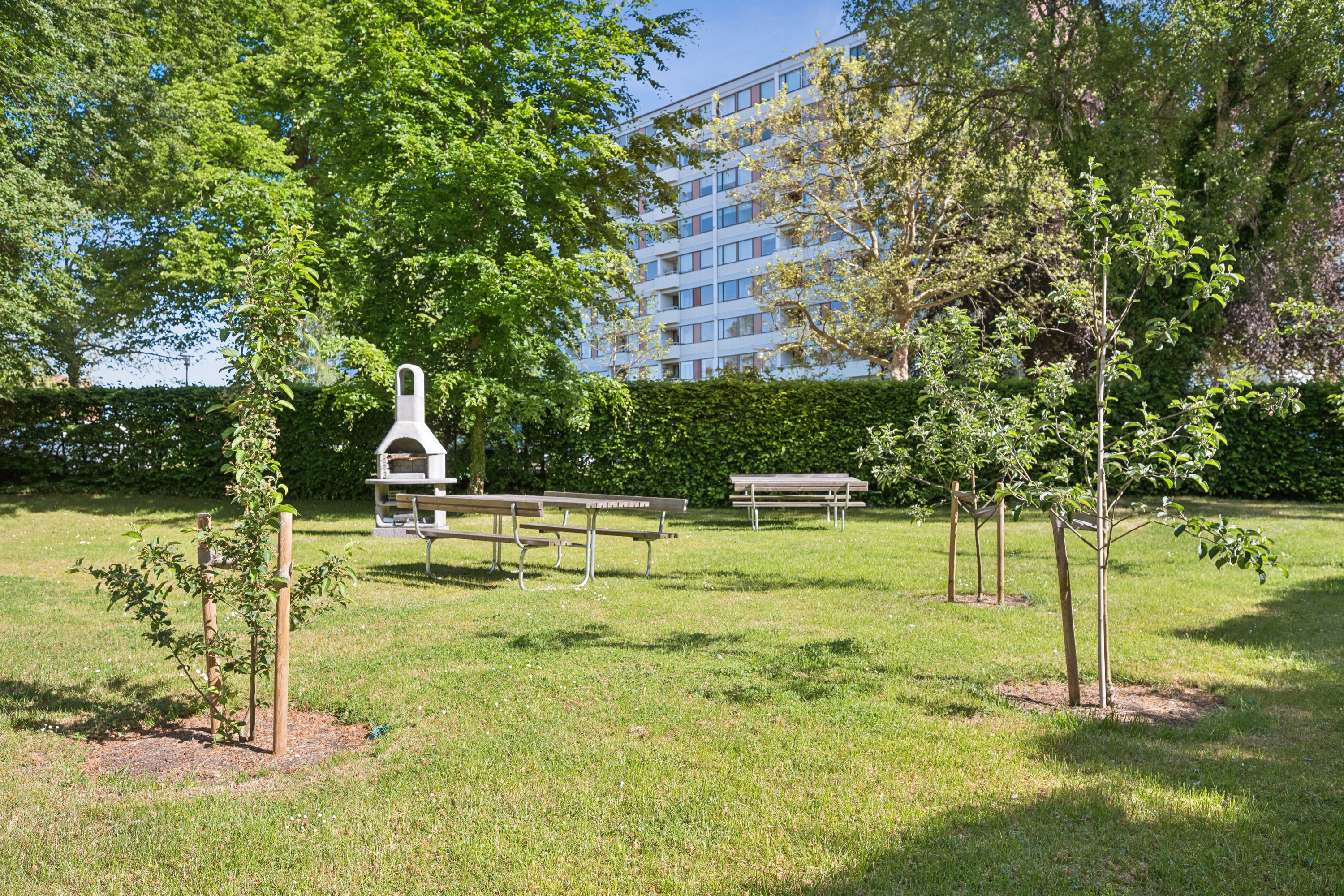Fremhævet have billede i fuldskærmstilstand. Billede af Ulrikkenborg Plads 10E, 1. tv., 2800 Kongens Lyngby