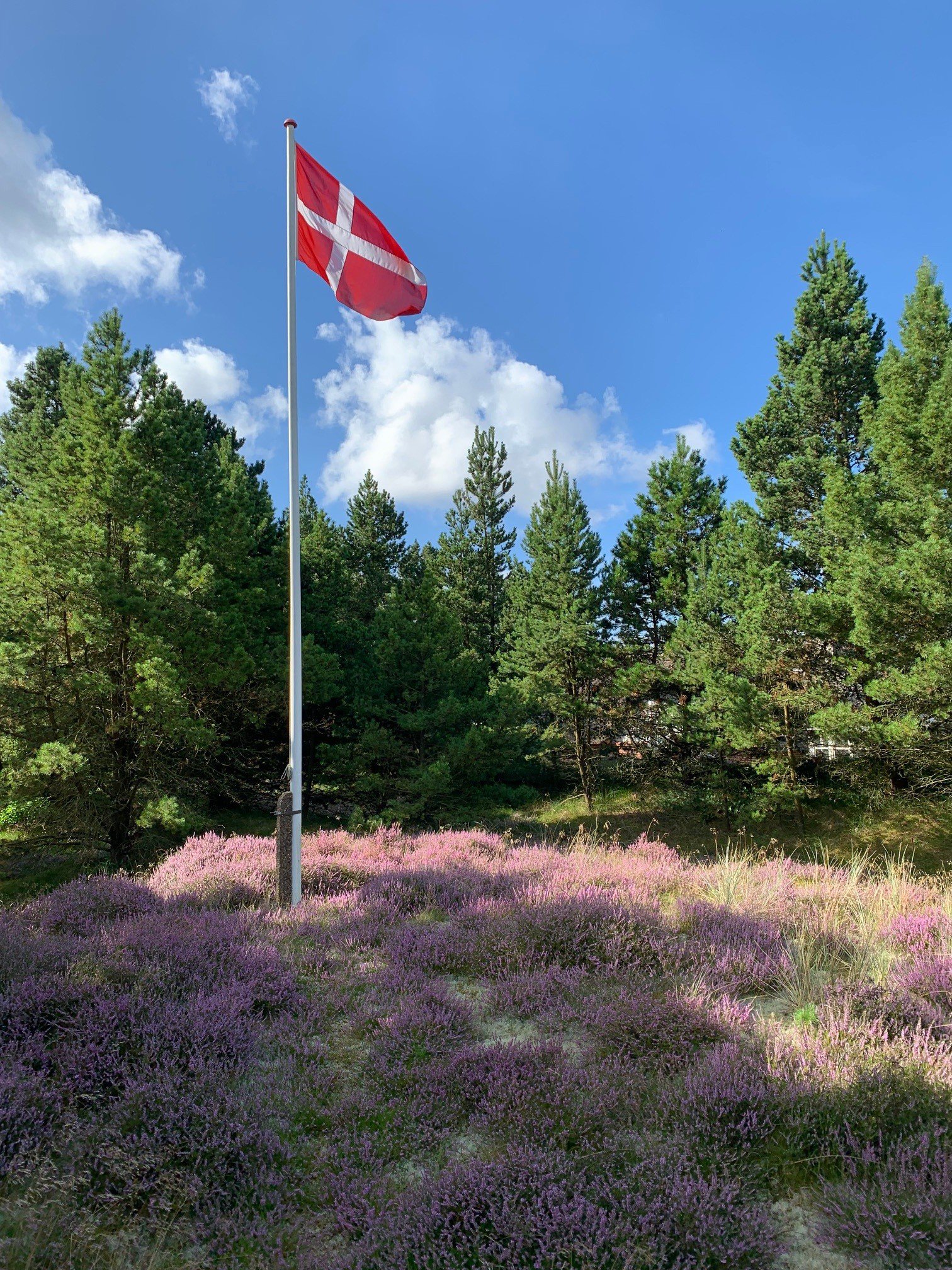 Fremhævet  billede i fuldskærmstilstand. Billede af A Hveyselsvej 6, Vråby, 6792 Rømø
